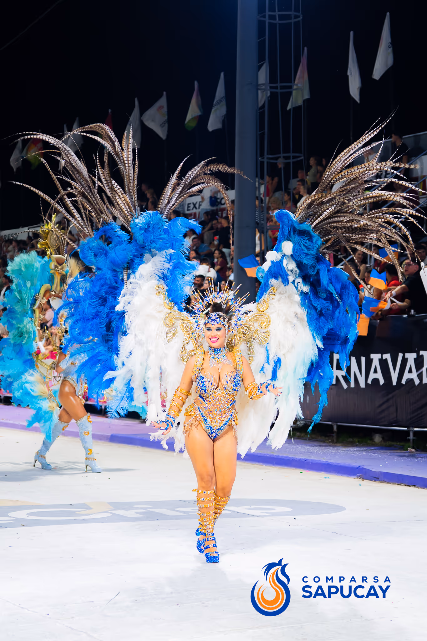 Galería de fotos del corso del Carnaval 2025