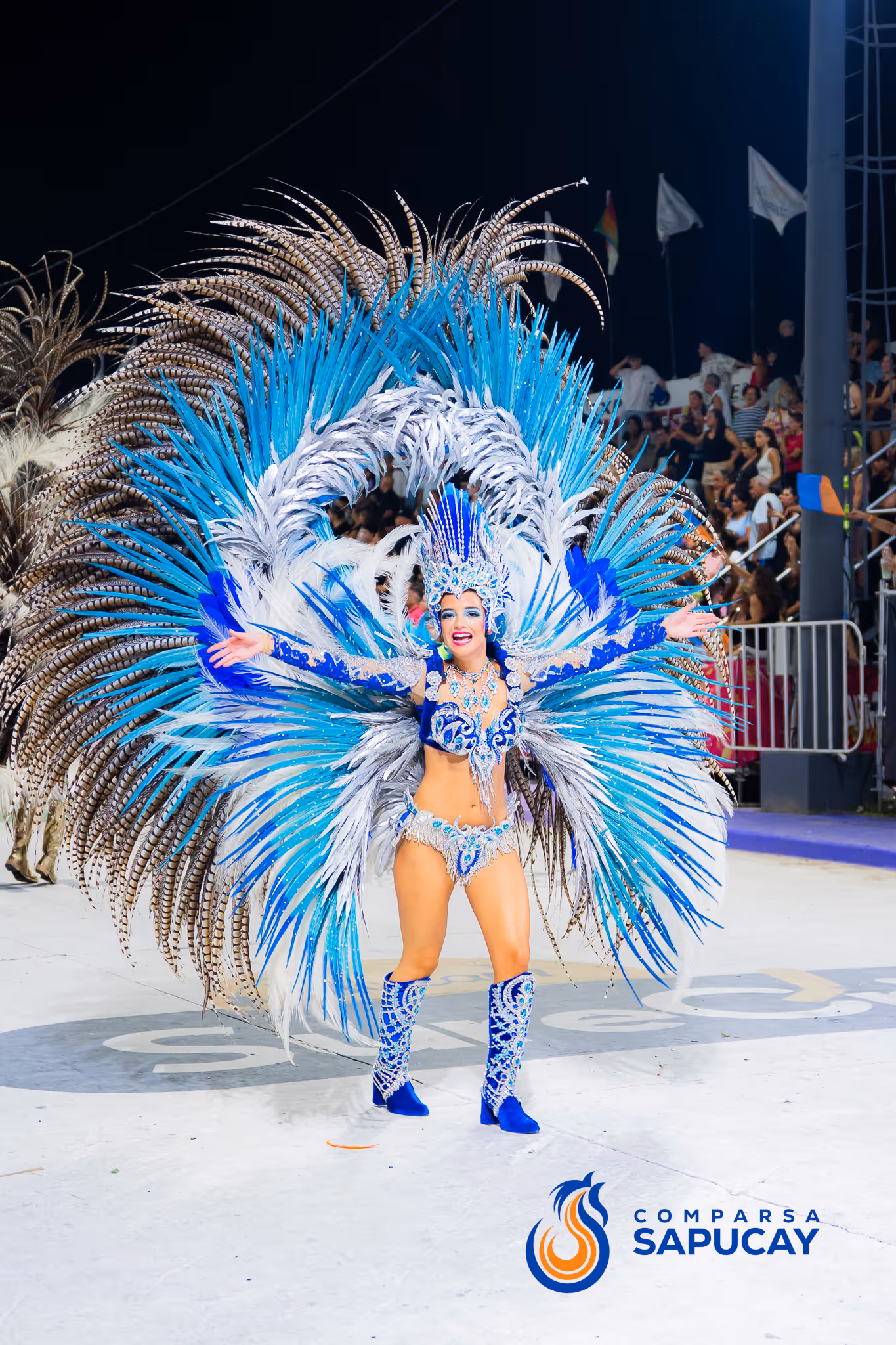 Galería de fotos del corso del Carnaval 2025