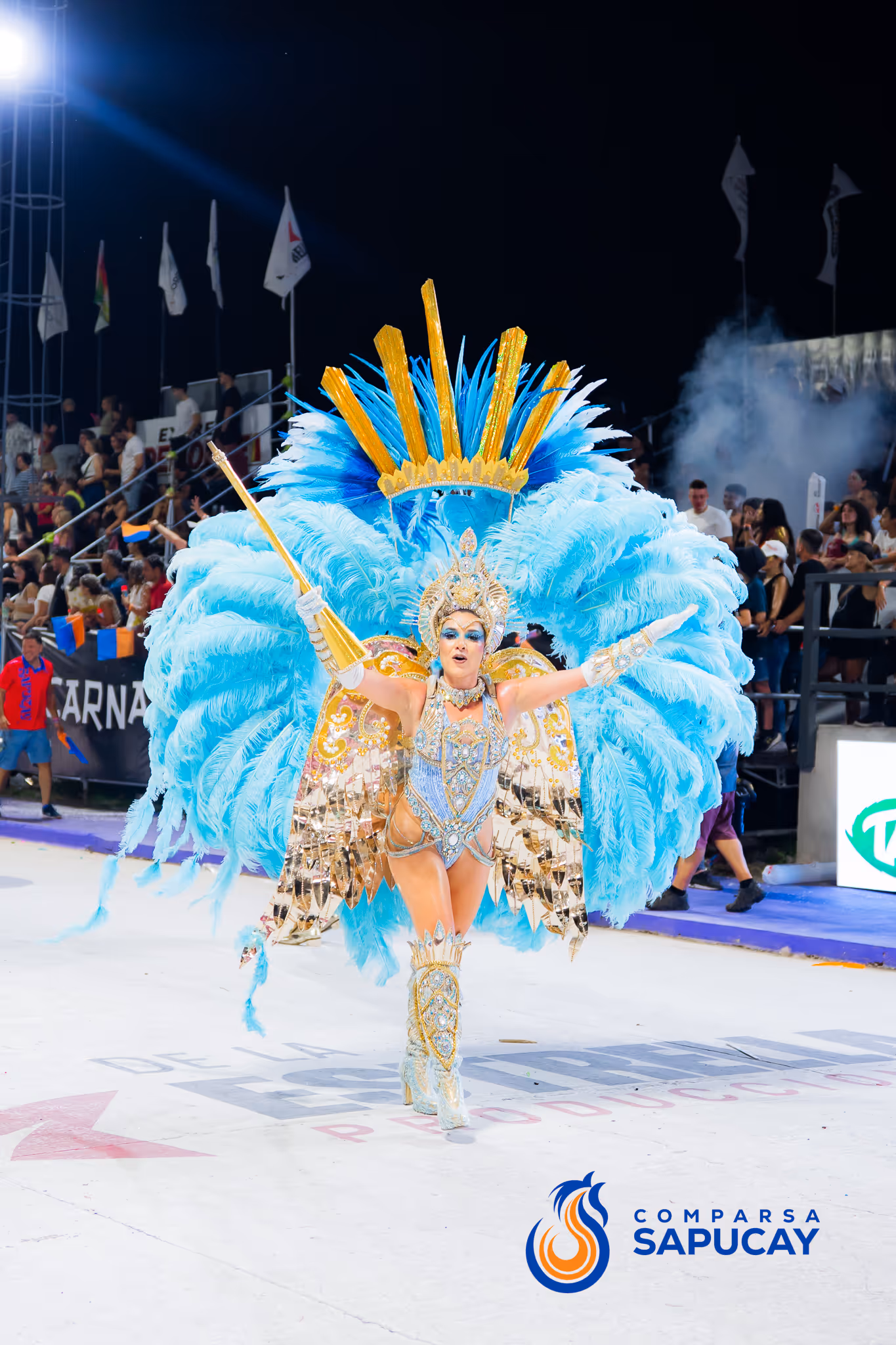 Galería de fotos del corso del Carnaval 2025