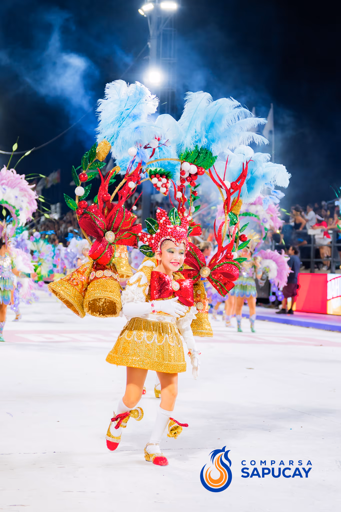 Galería de fotos del corso del Carnaval 2025