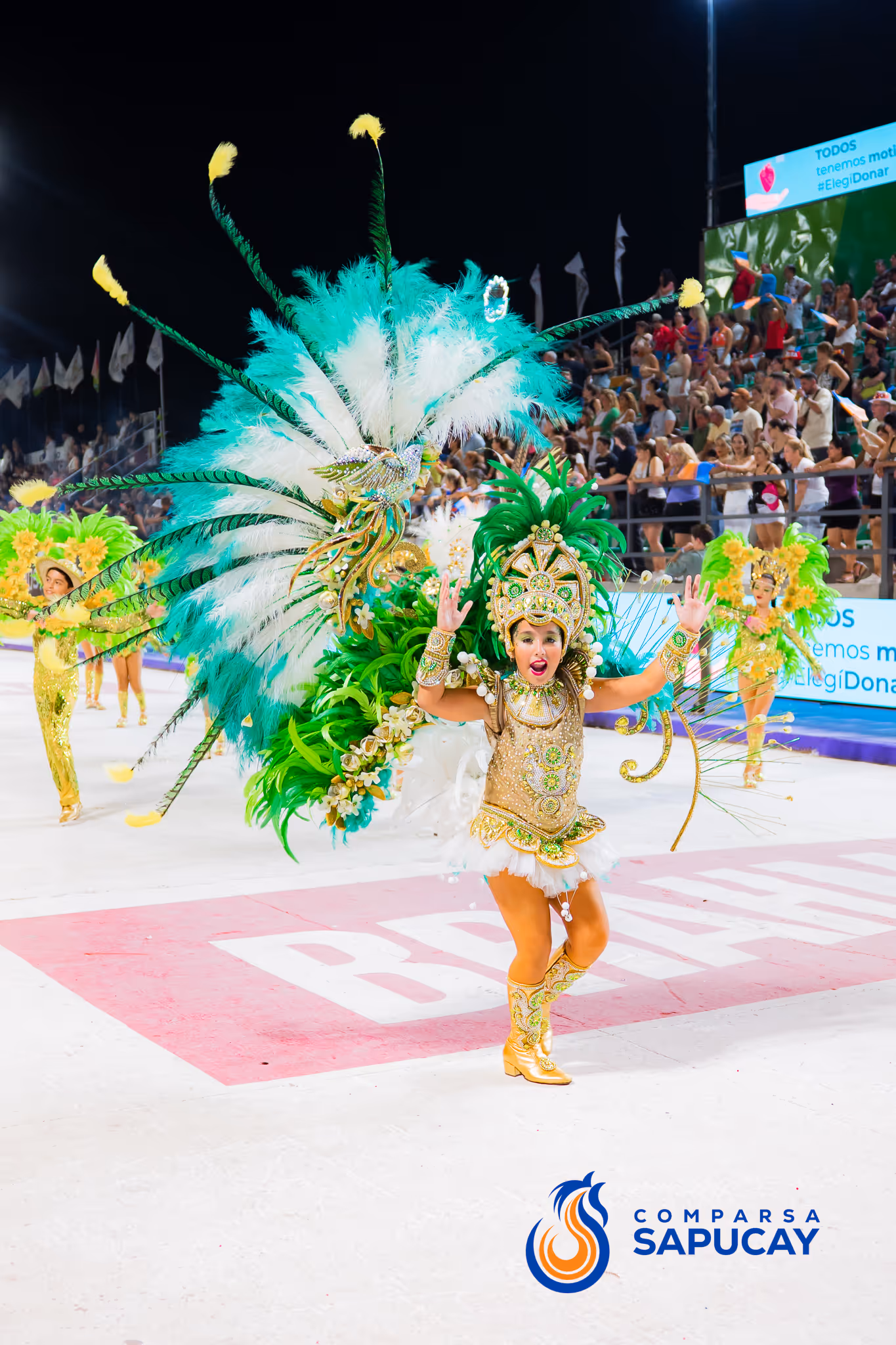 Galería de fotos del corso del Carnaval 2025