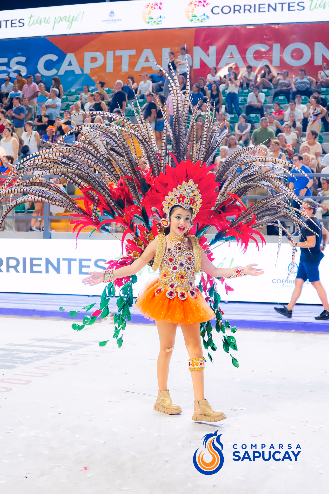 Galería de fotos del corso del Carnaval 2025
