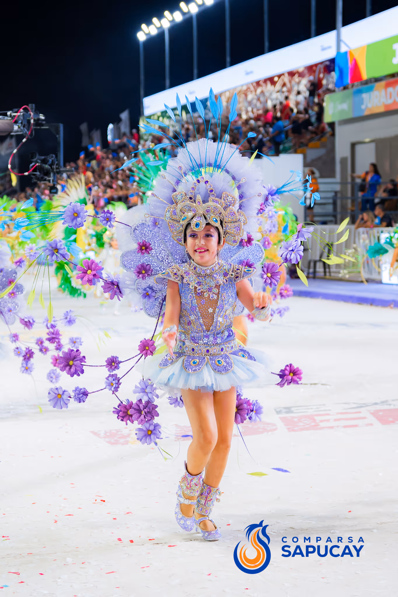 Galería de fotos del corso del Carnaval 2025