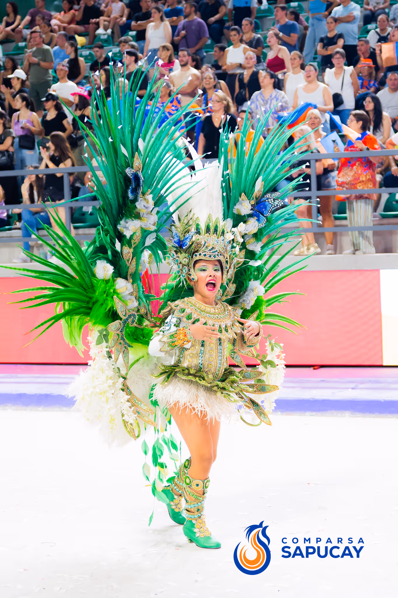 Galería de fotos del corso del Carnaval 2025