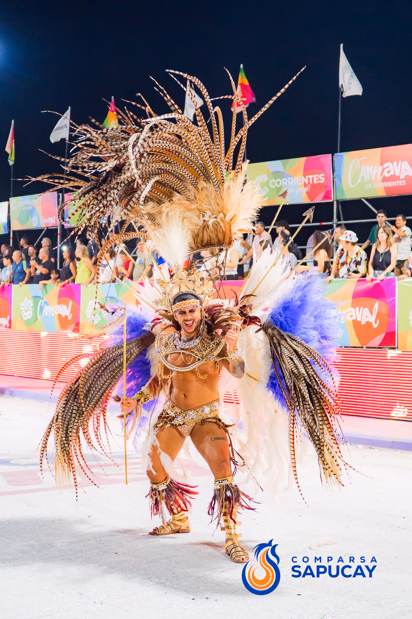 Galería de fotos del corso del Carnaval 2025