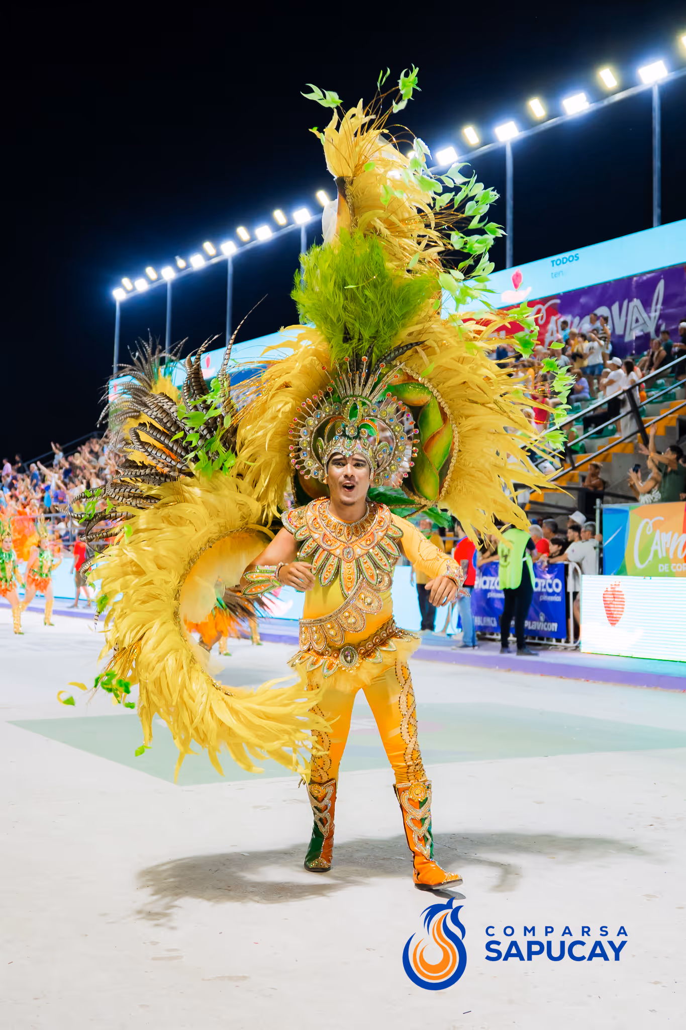 Galería de fotos del corso del Carnaval 2025