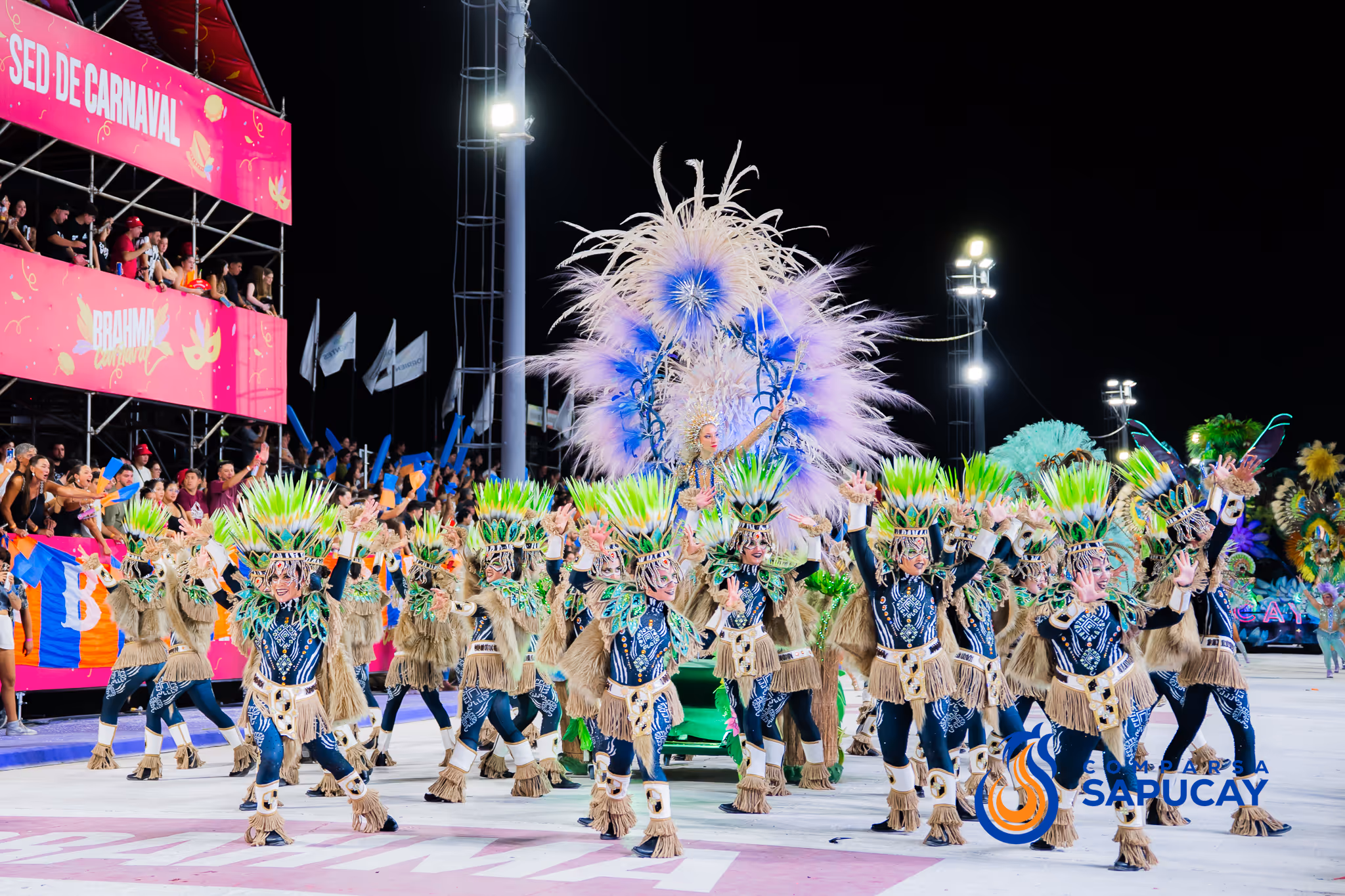 Galería de fotos del corso del Carnaval 2025