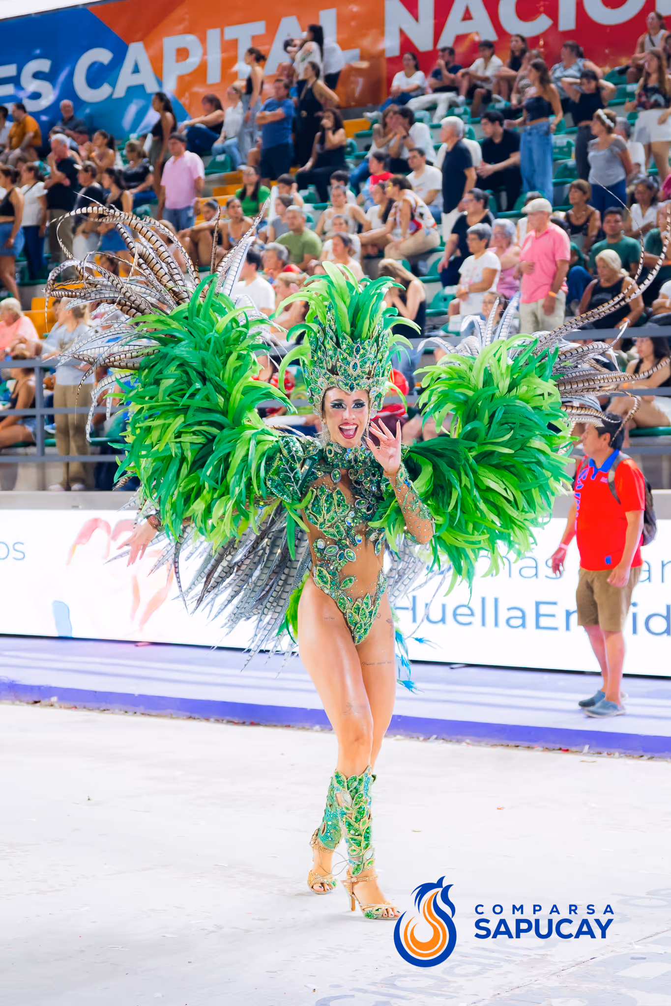 Galería de fotos del corso del Carnaval 2025
