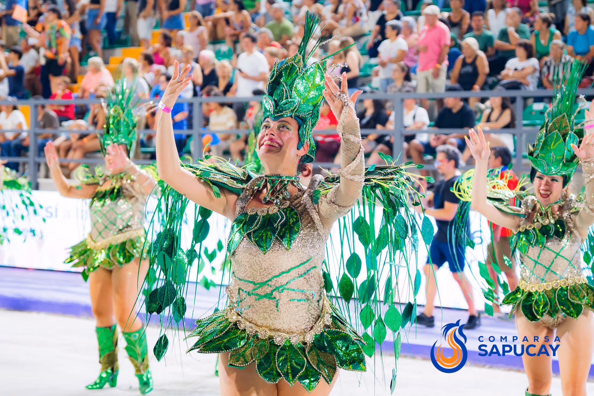 Galería de fotos del corso del Carnaval 2025