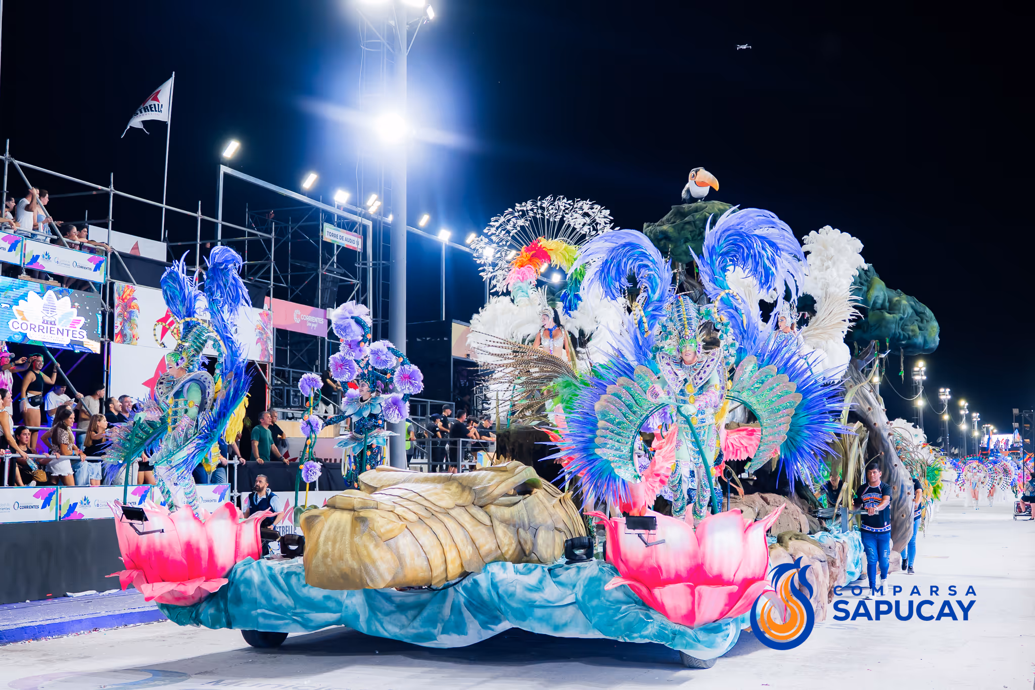Galería de fotos del corso del Carnaval 2025