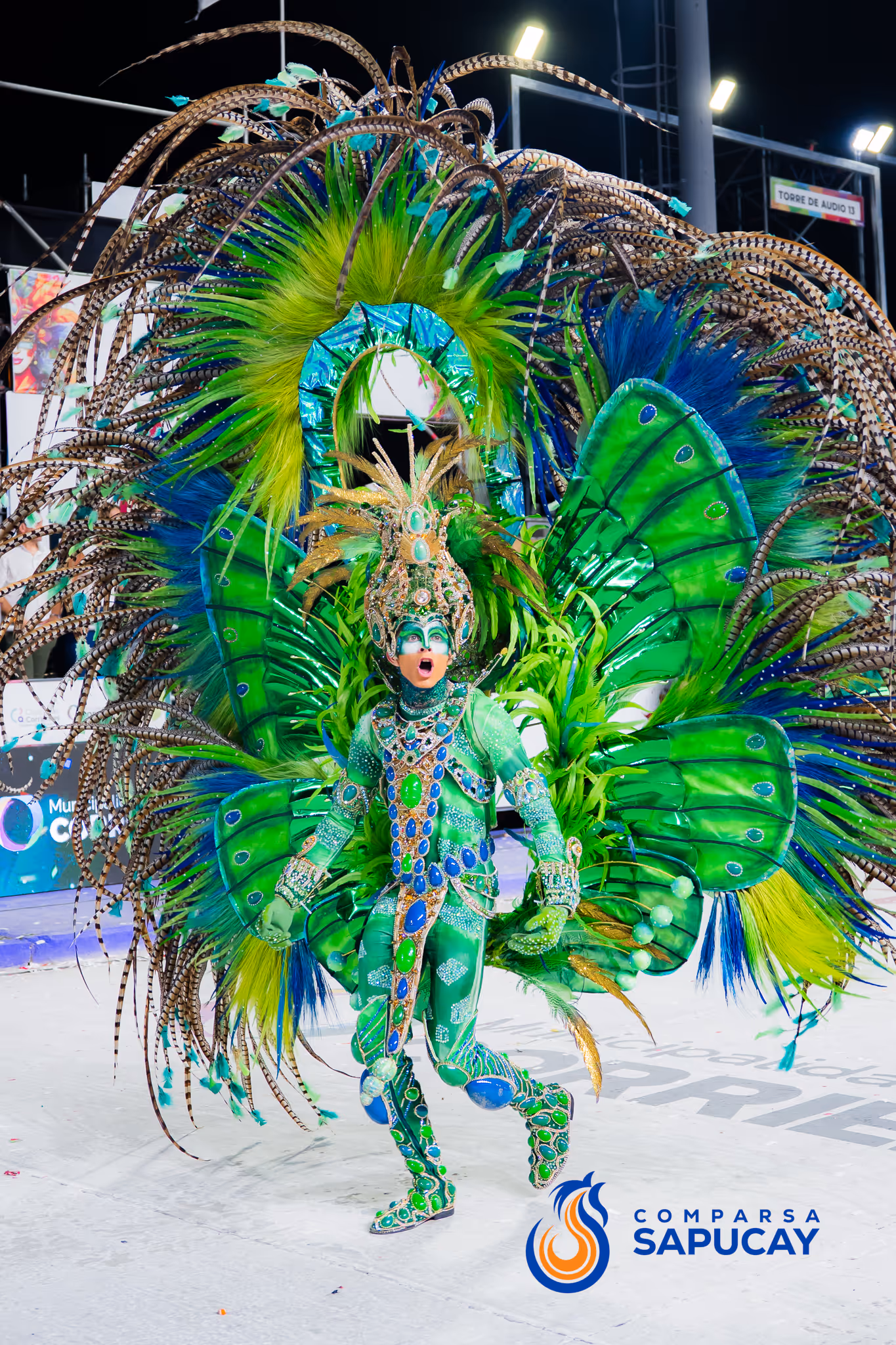 Galería de fotos del corso del Carnaval 2025