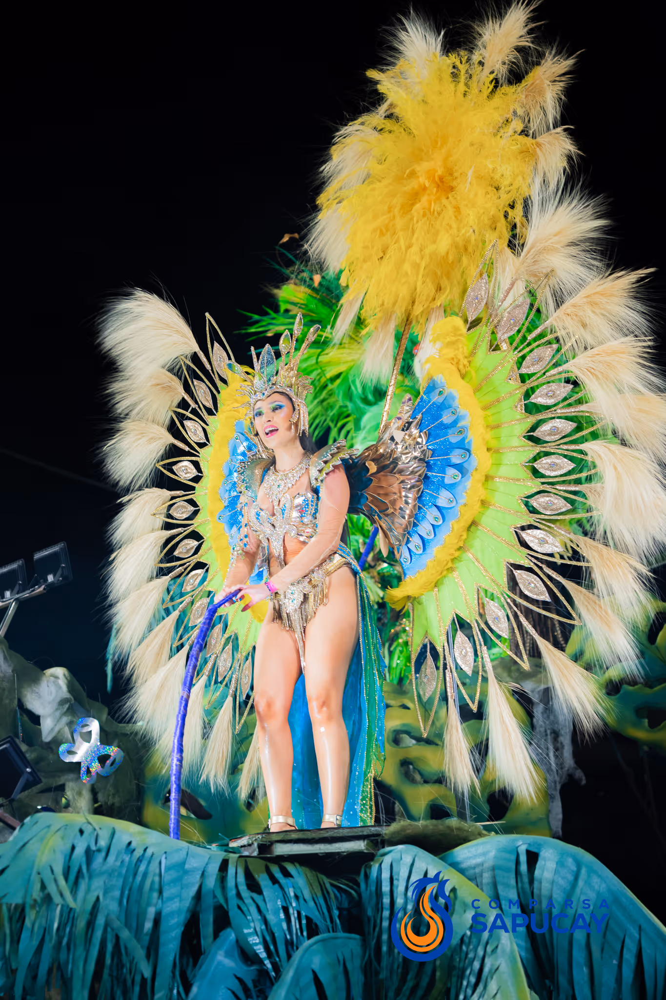 Galería de fotos del corso del Carnaval 2025