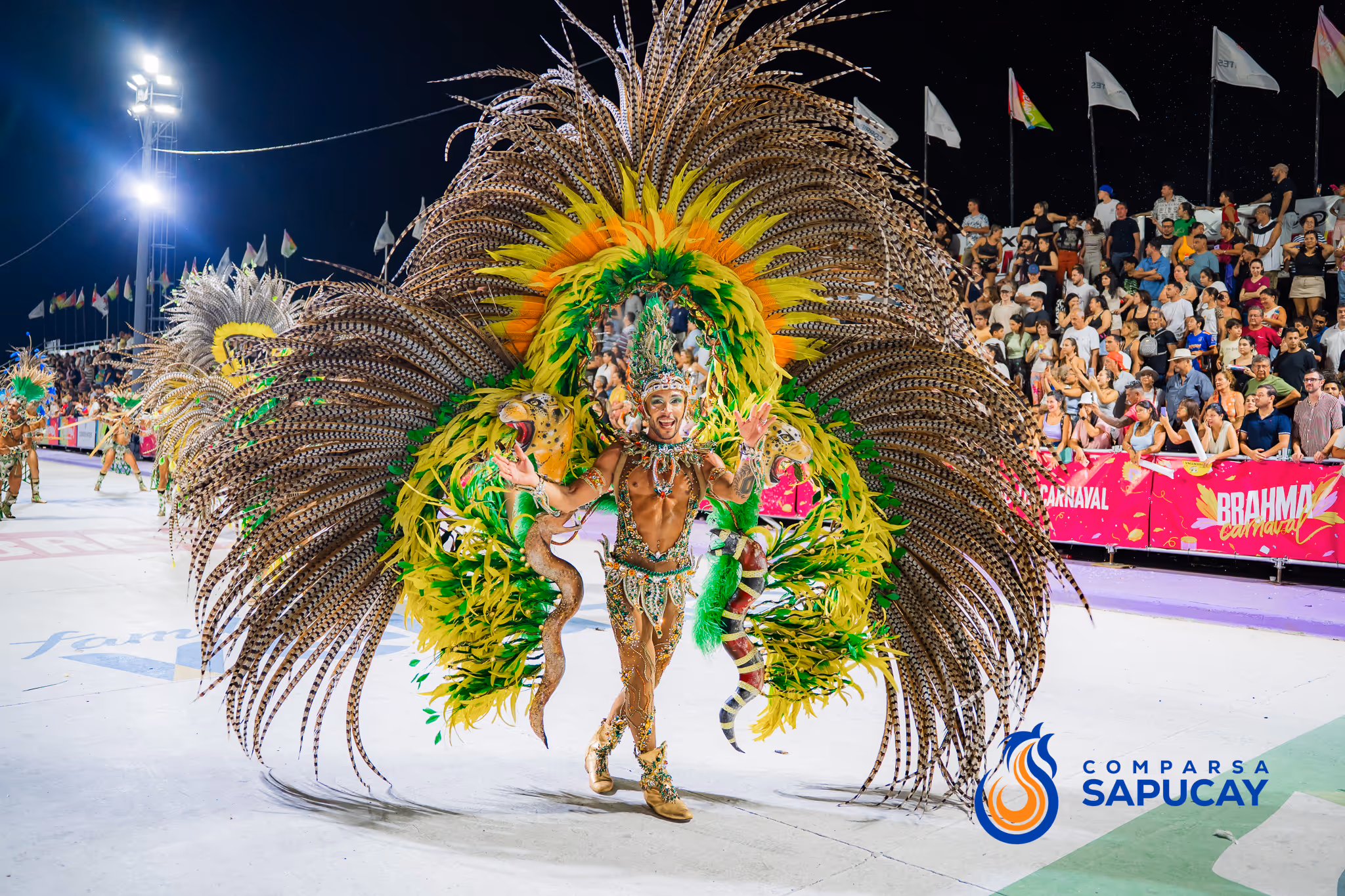 Galería de fotos del corso del Carnaval 2025
