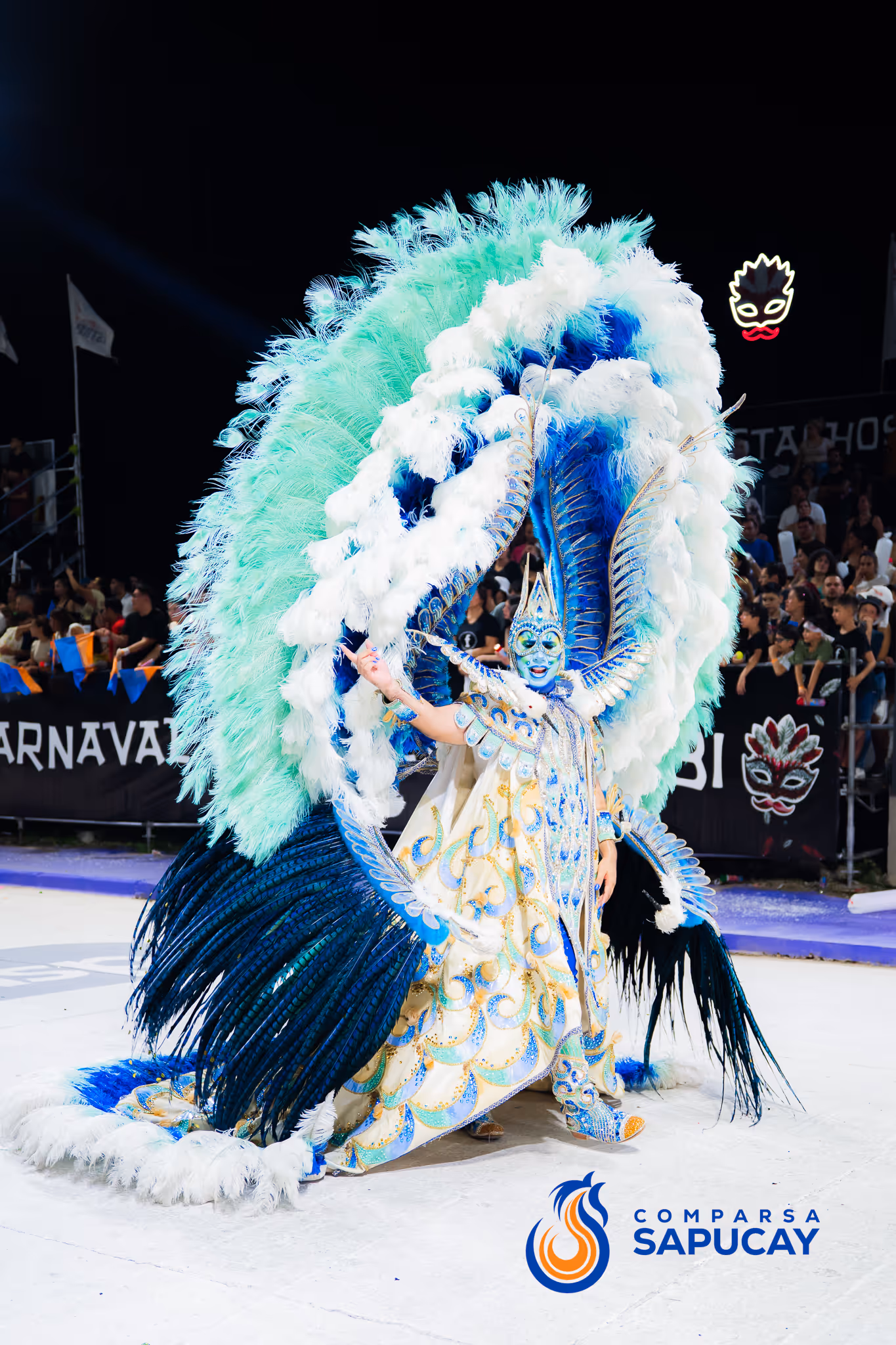 Galería de fotos del corso del Carnaval 2025