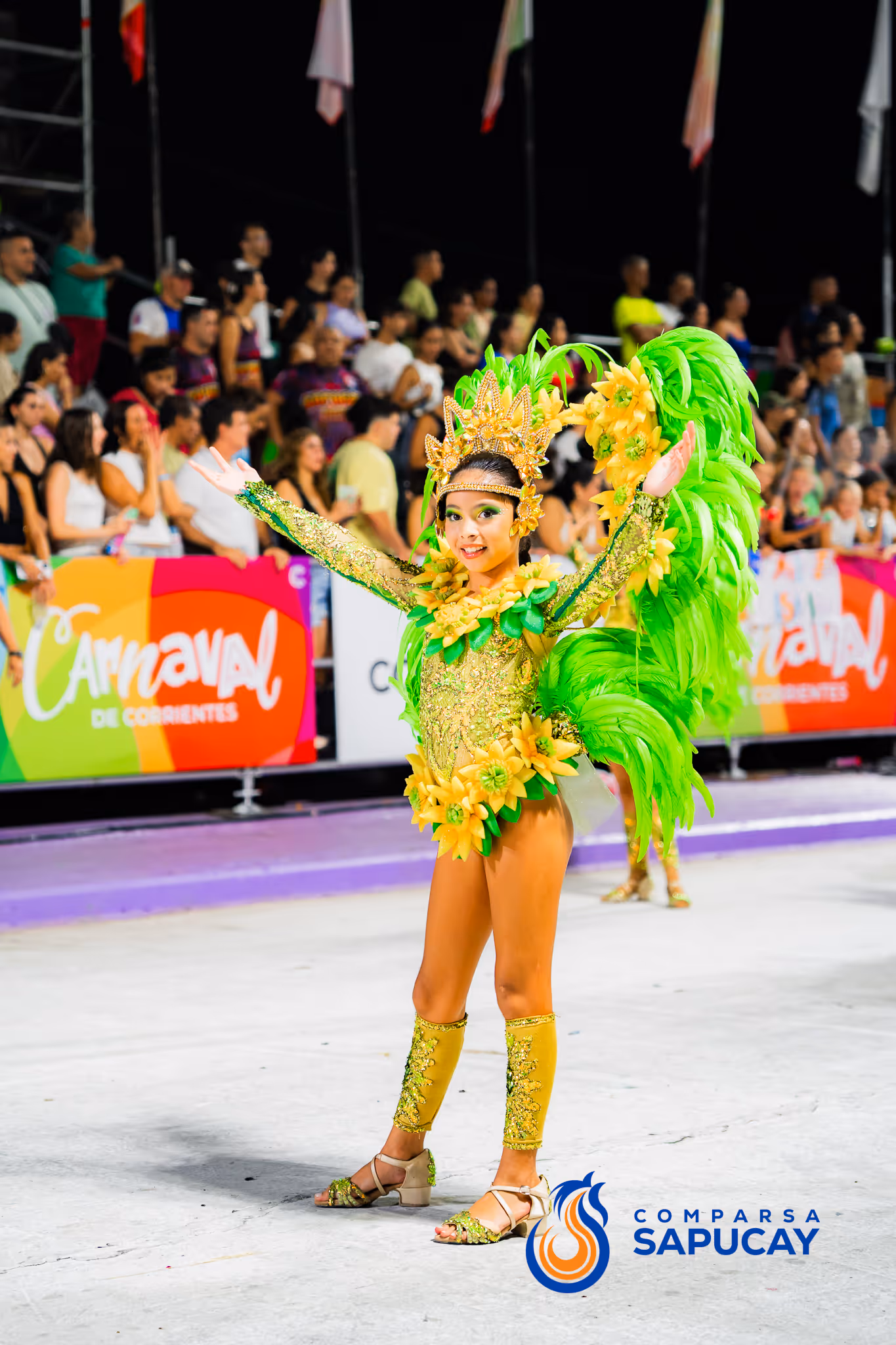 Galería de fotos del corso del Carnaval 2025