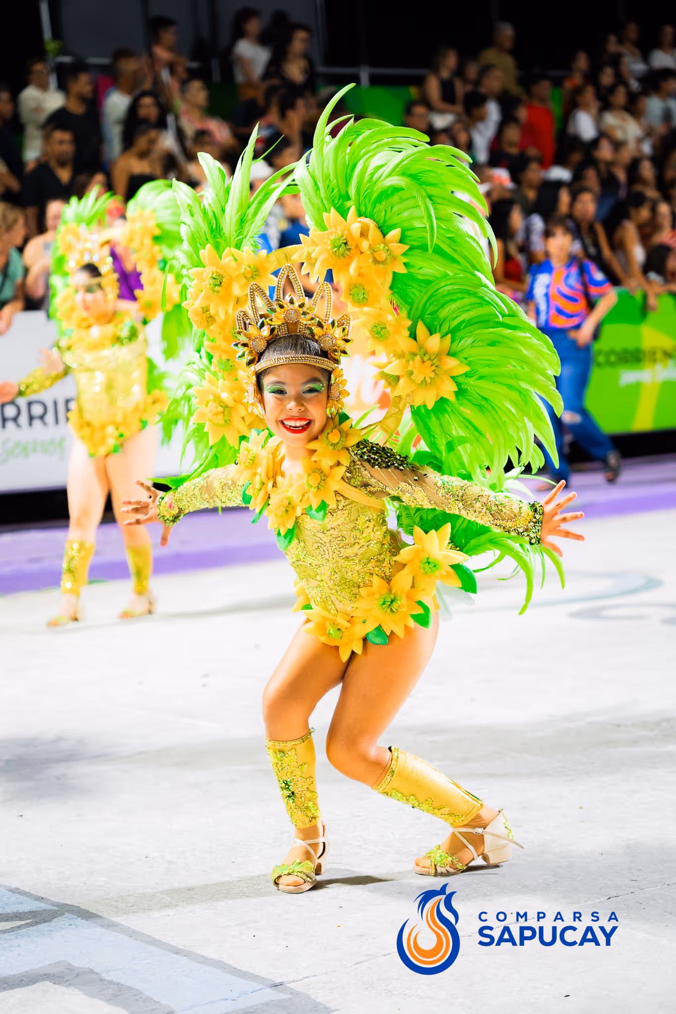 Galería de fotos del corso del Carnaval 2025