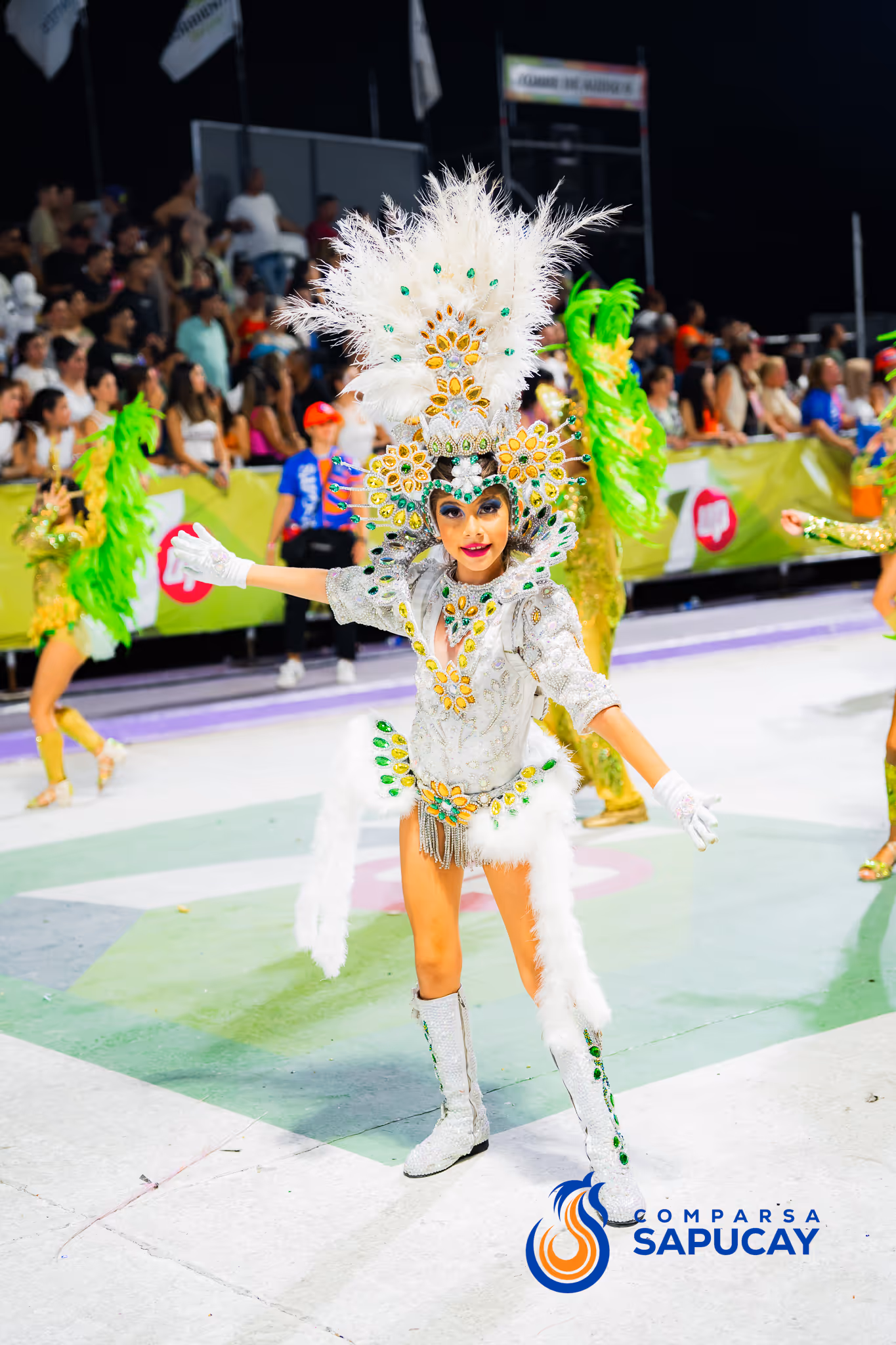 Galería de fotos del corso del Carnaval 2025