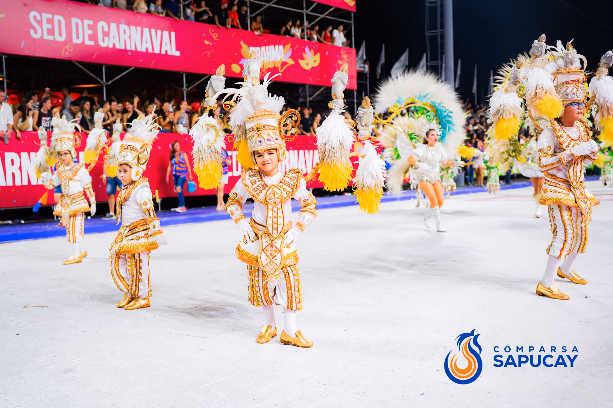 Galería de fotos del corso del Carnaval 2025