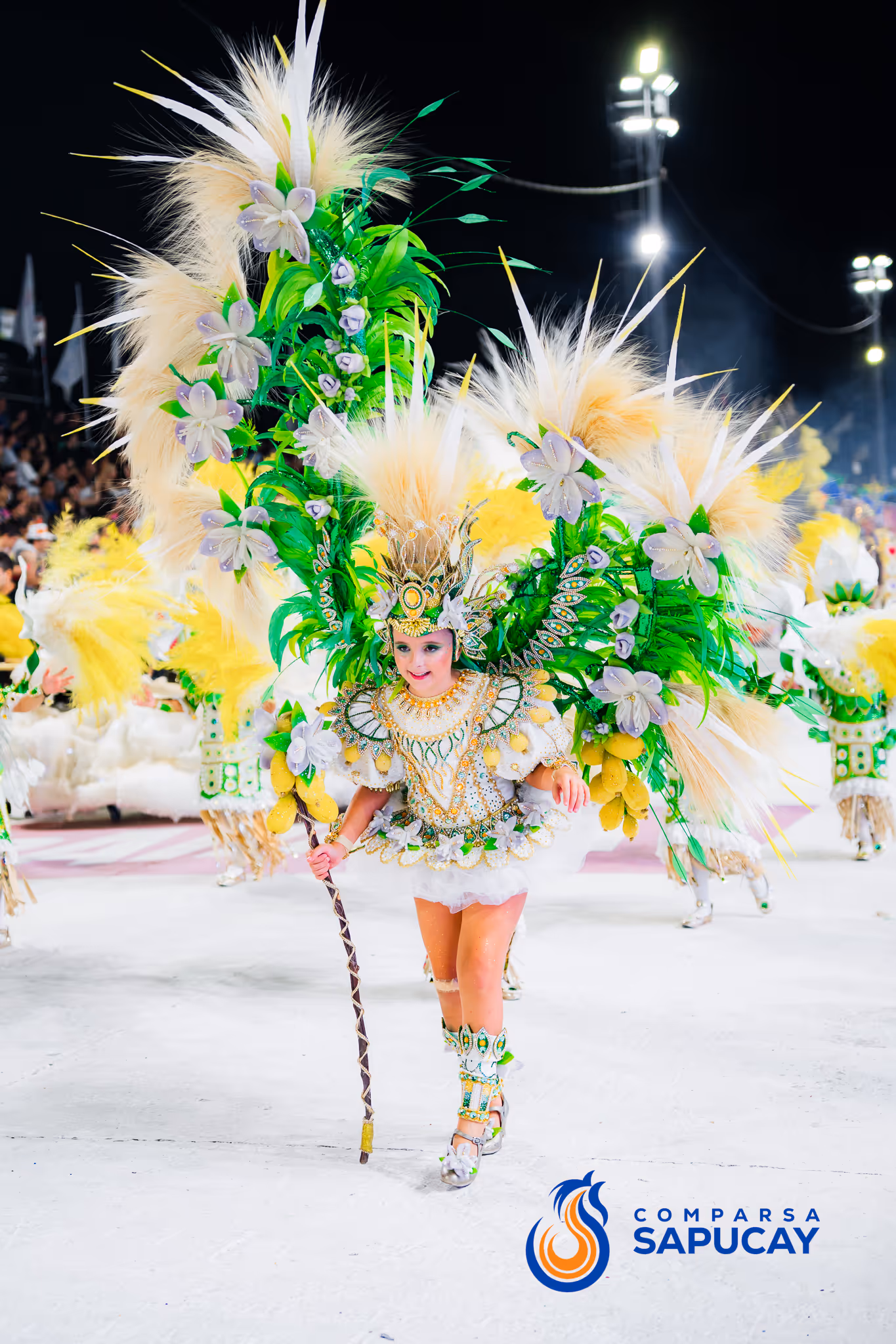 Galería de fotos del corso del Carnaval 2025
