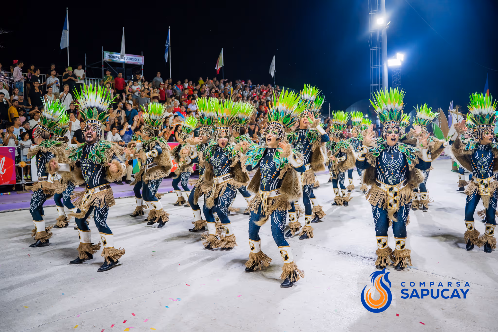Galería de fotos del corso del Carnaval 2025