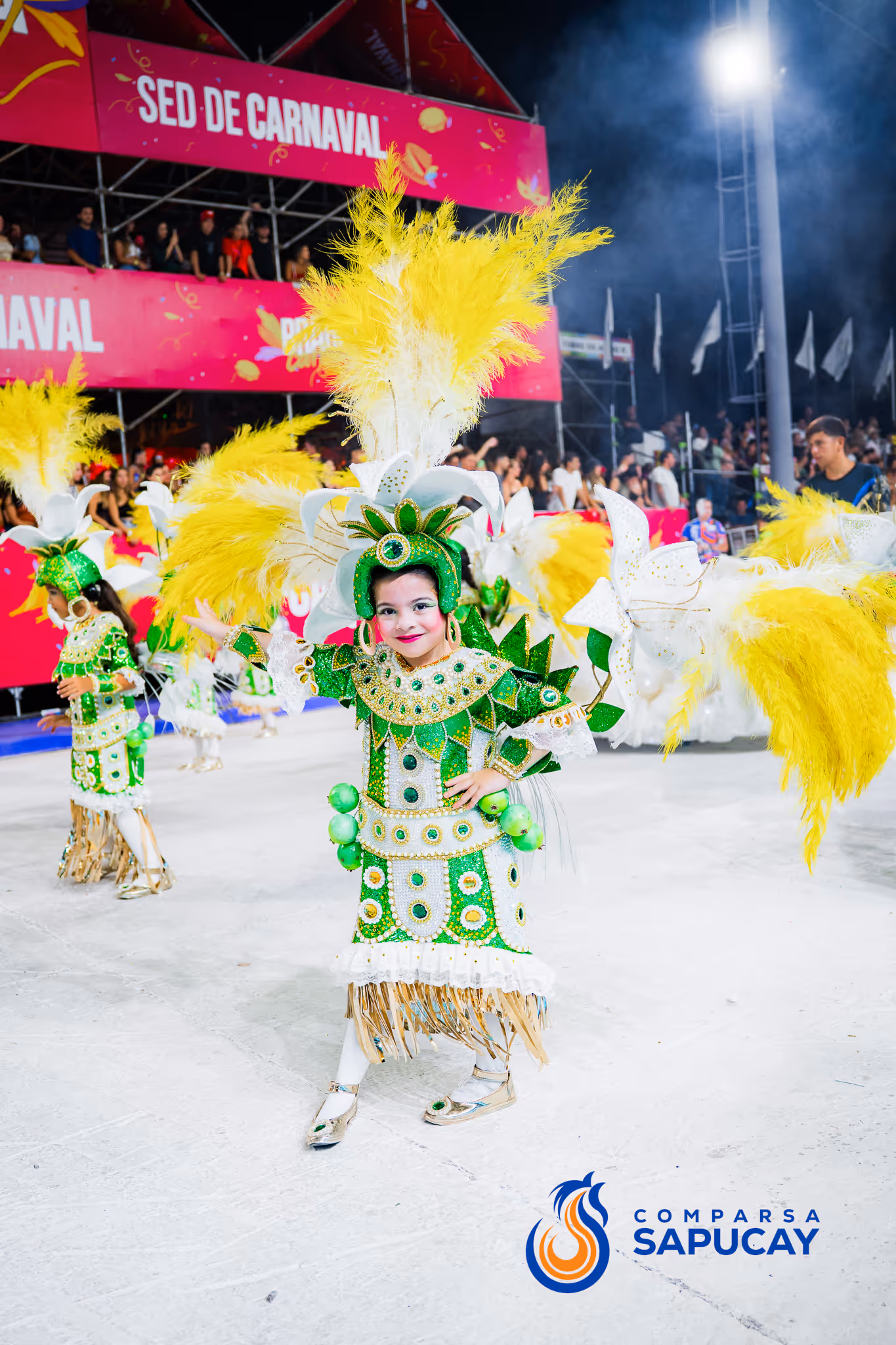Galería de fotos del corso del Carnaval 2025