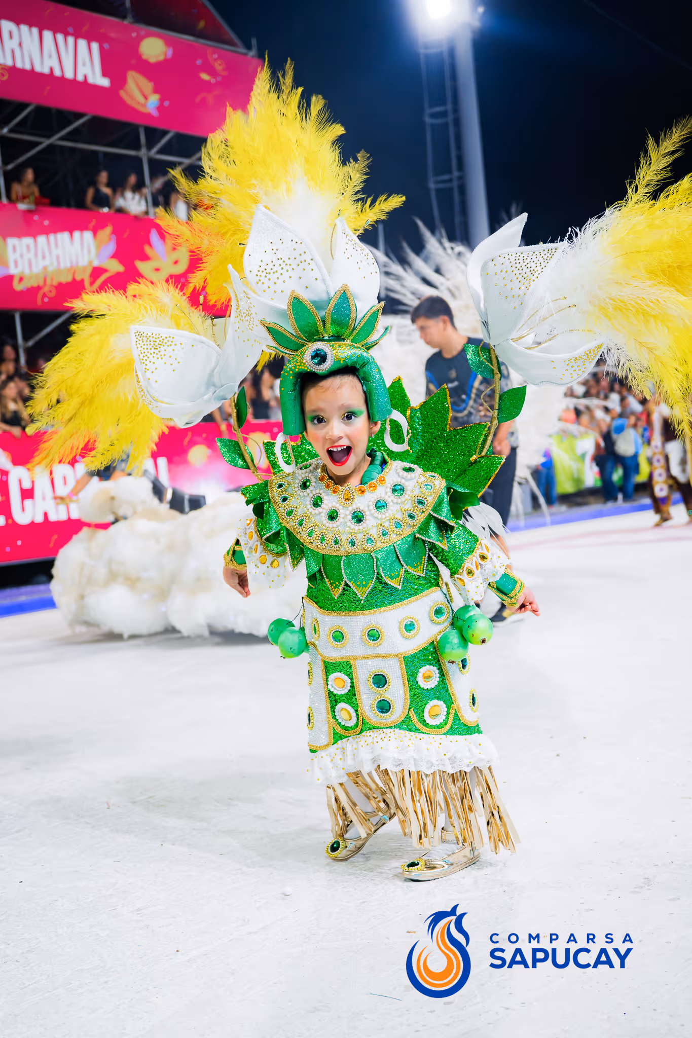 Galería de fotos del corso del Carnaval 2025