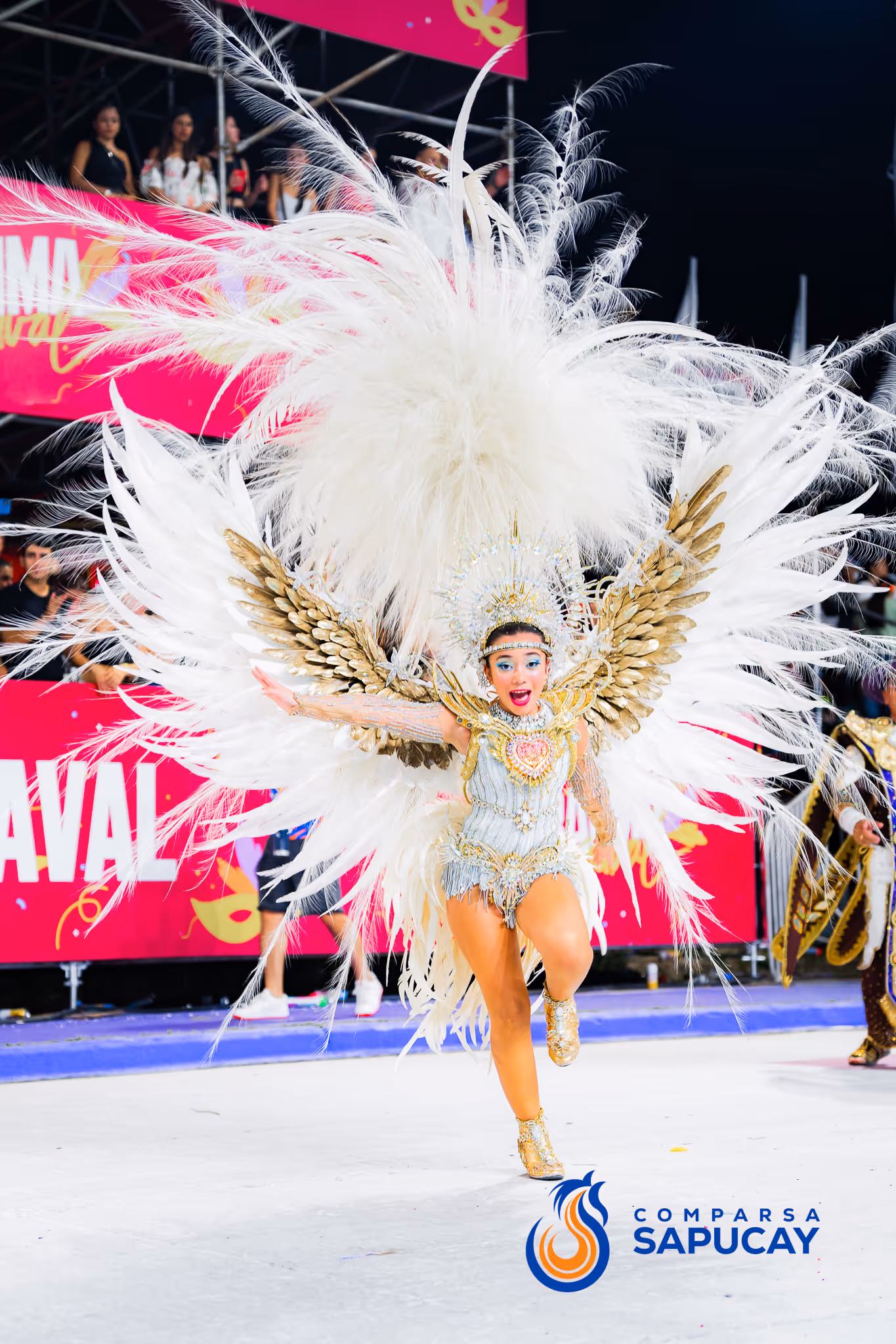 Galería de fotos del corso del Carnaval 2025