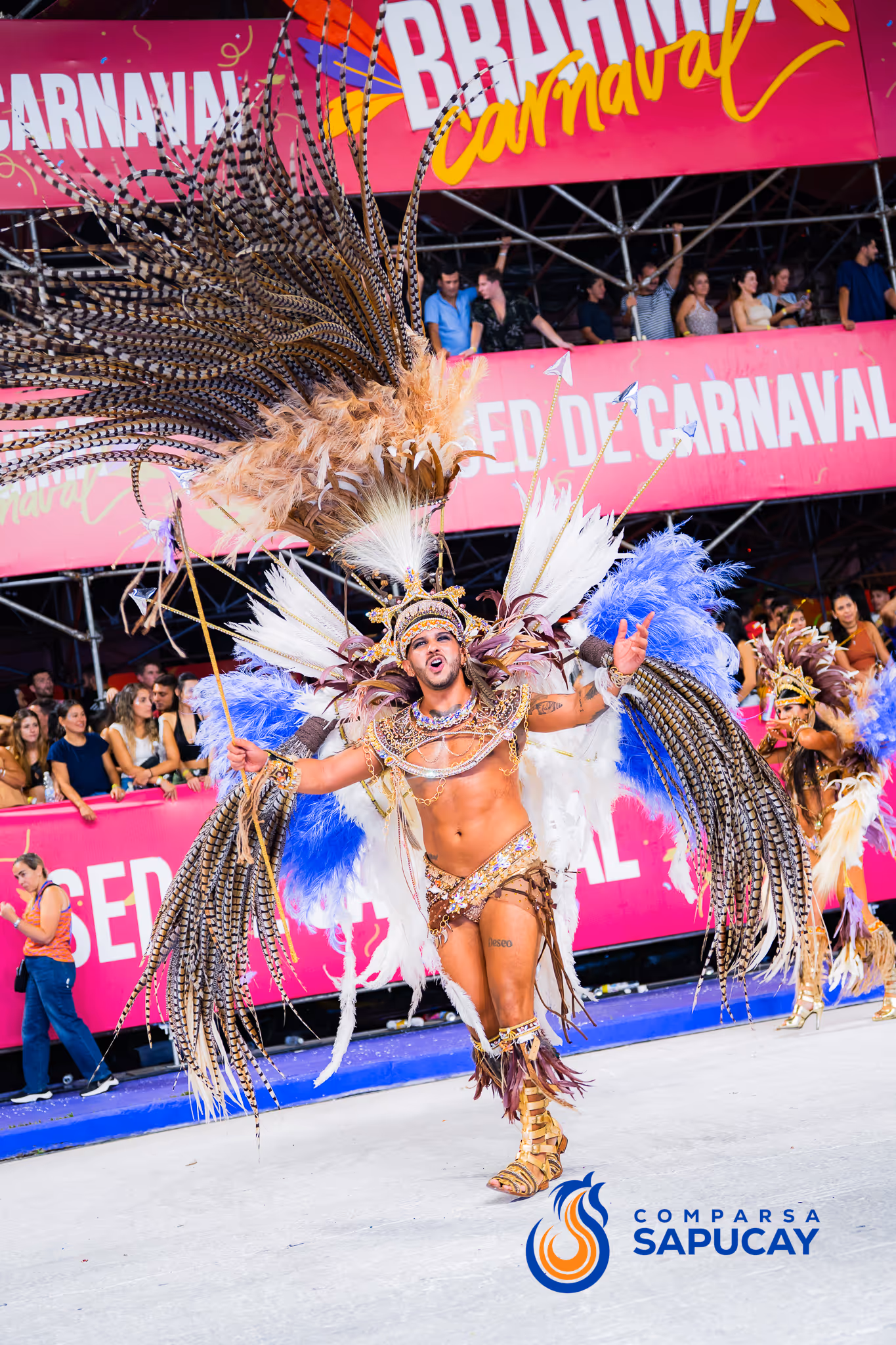 Galería de fotos del corso del Carnaval 2025
