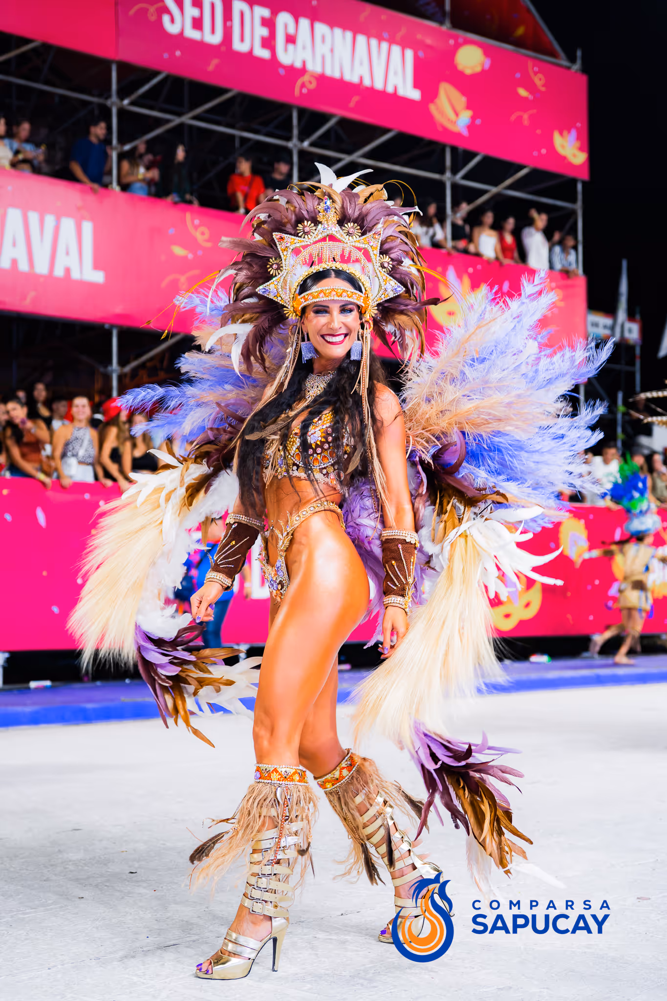 Galería de fotos del corso del Carnaval 2025