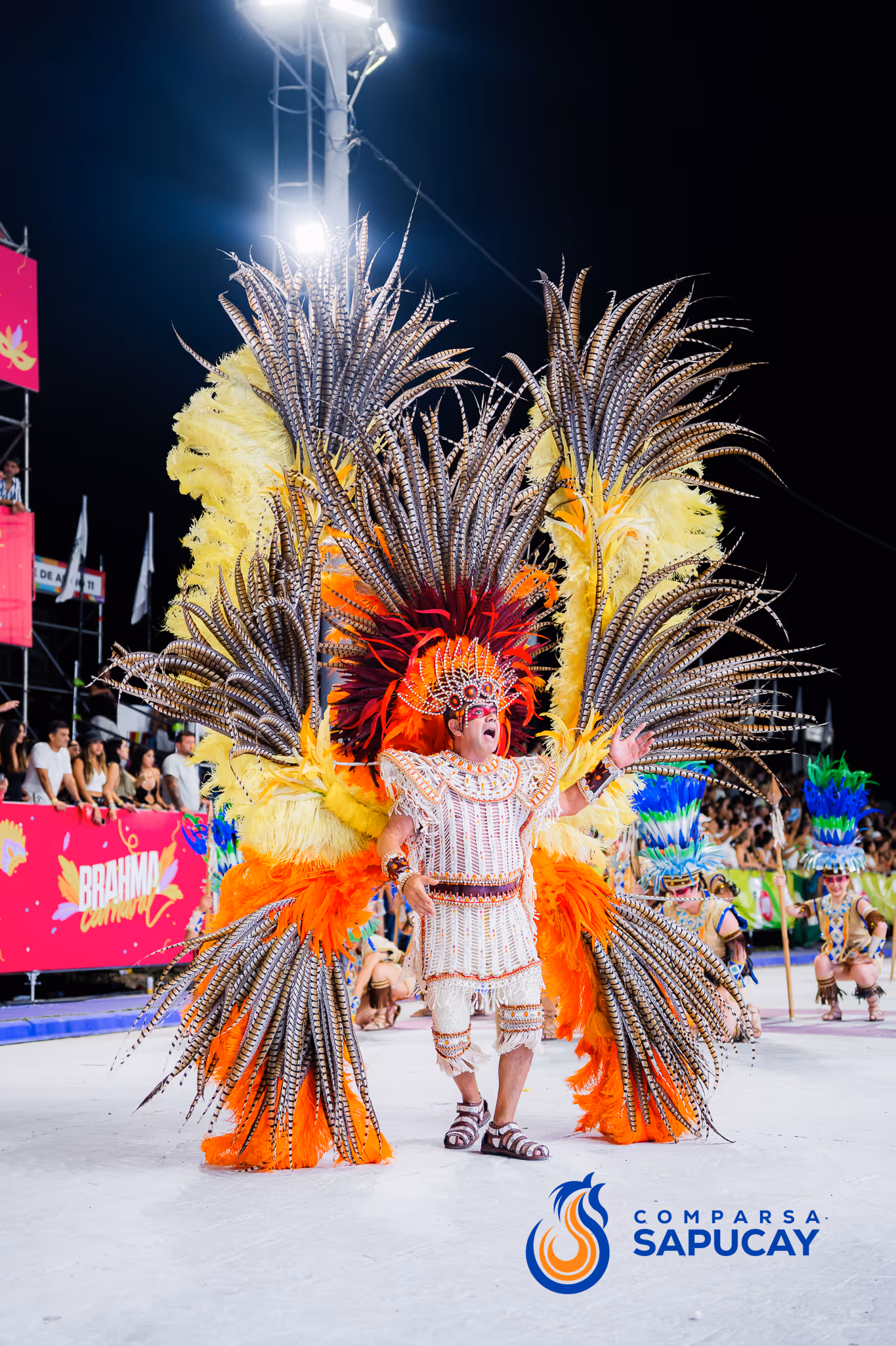 Galería de fotos del corso del Carnaval 2025