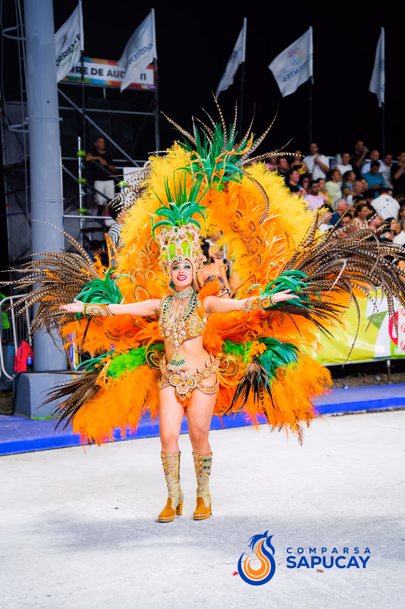 Galería de fotos del corso del Carnaval 2025