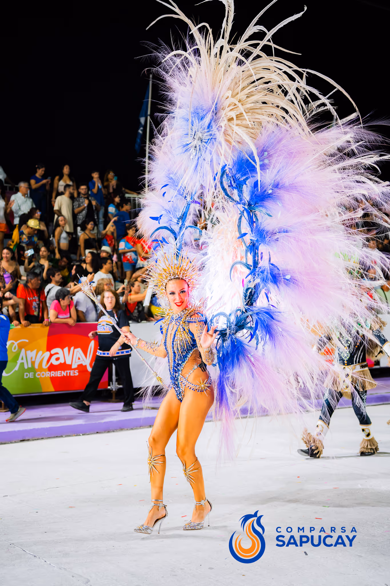 Galería de fotos del corso del Carnaval 2025