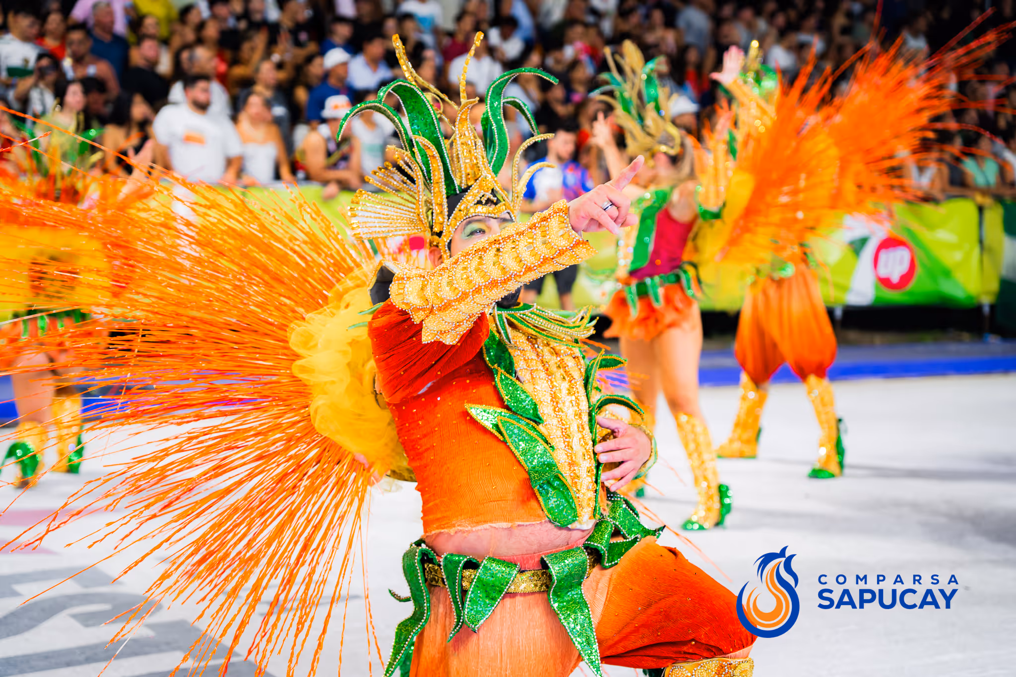 Galería de fotos del corso del Carnaval 2025