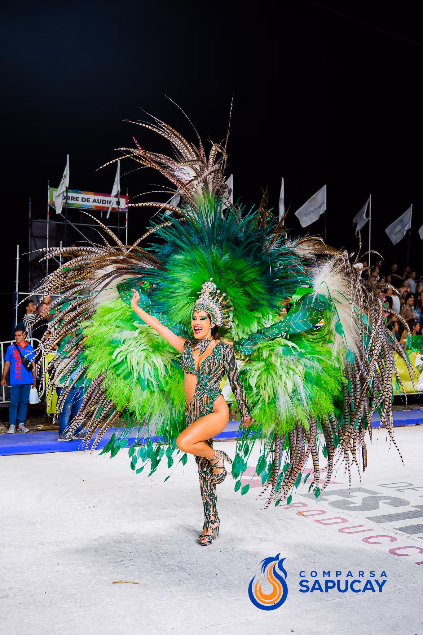 Galería de fotos del corso del Carnaval 2025