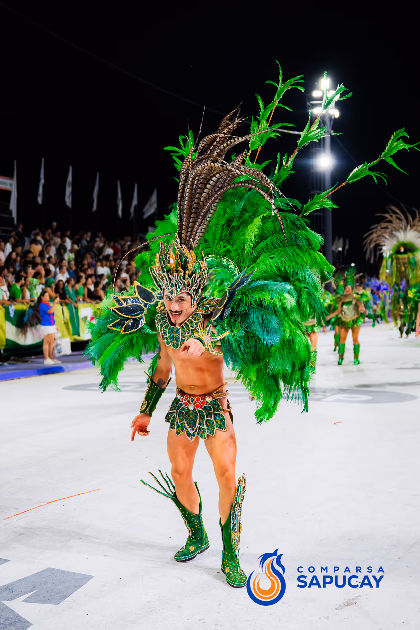 Galería de fotos del corso del Carnaval 2025