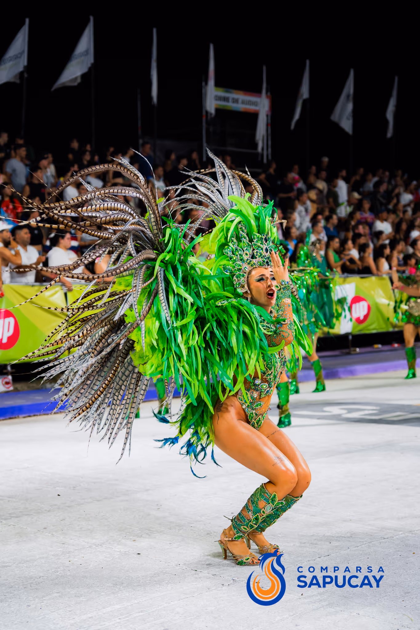 Galería de fotos del corso del Carnaval 2025