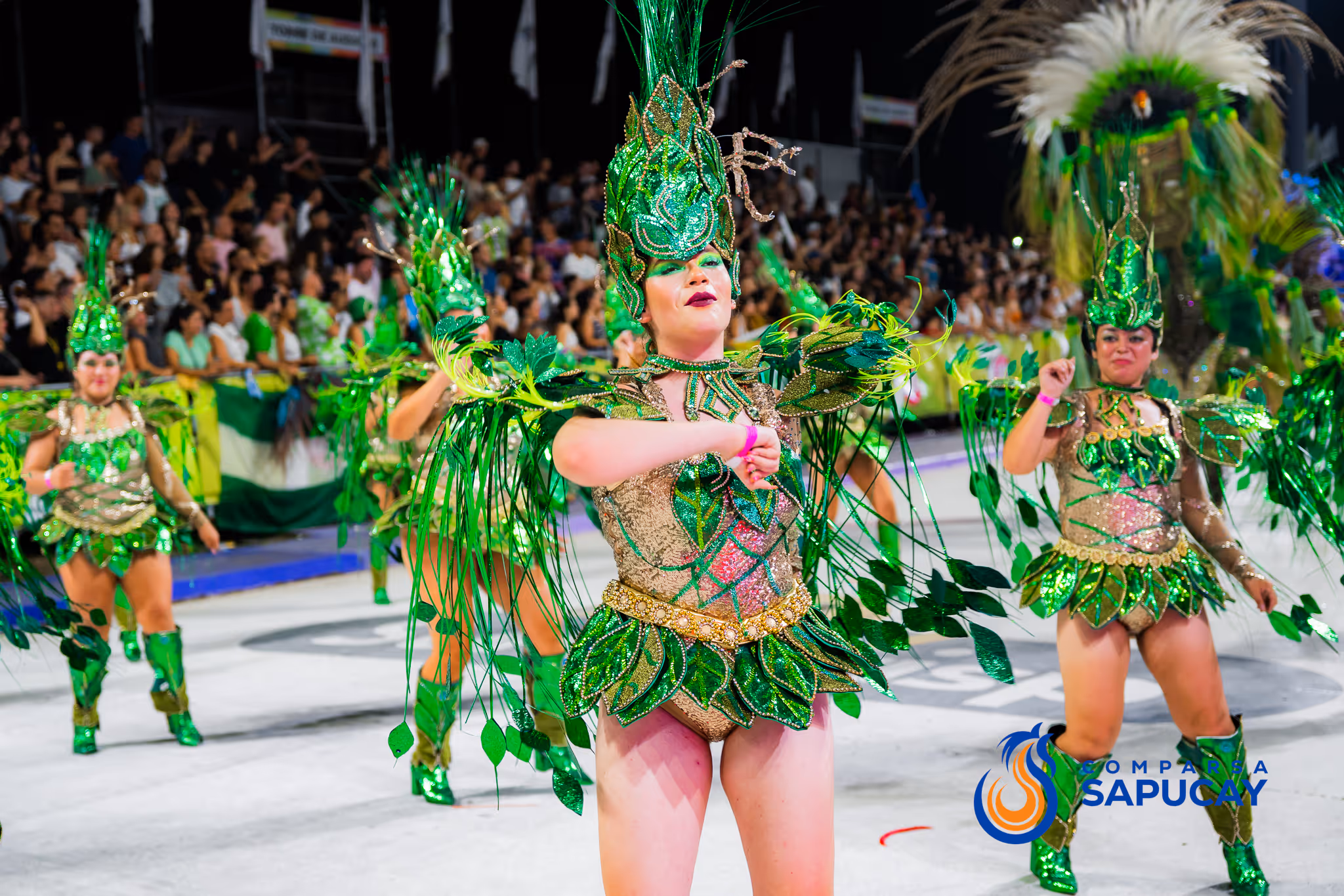 Galería de fotos del corso del Carnaval 2025