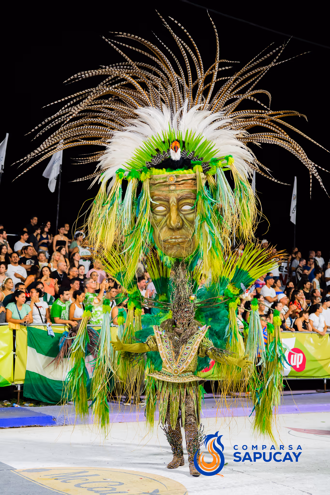 Galería de fotos del corso del Carnaval 2025