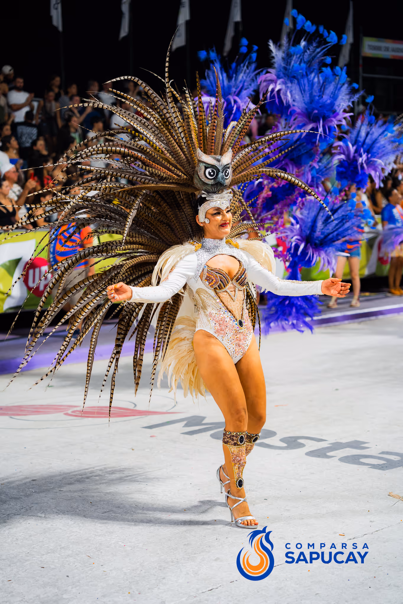 Galería de fotos del corso del Carnaval 2025