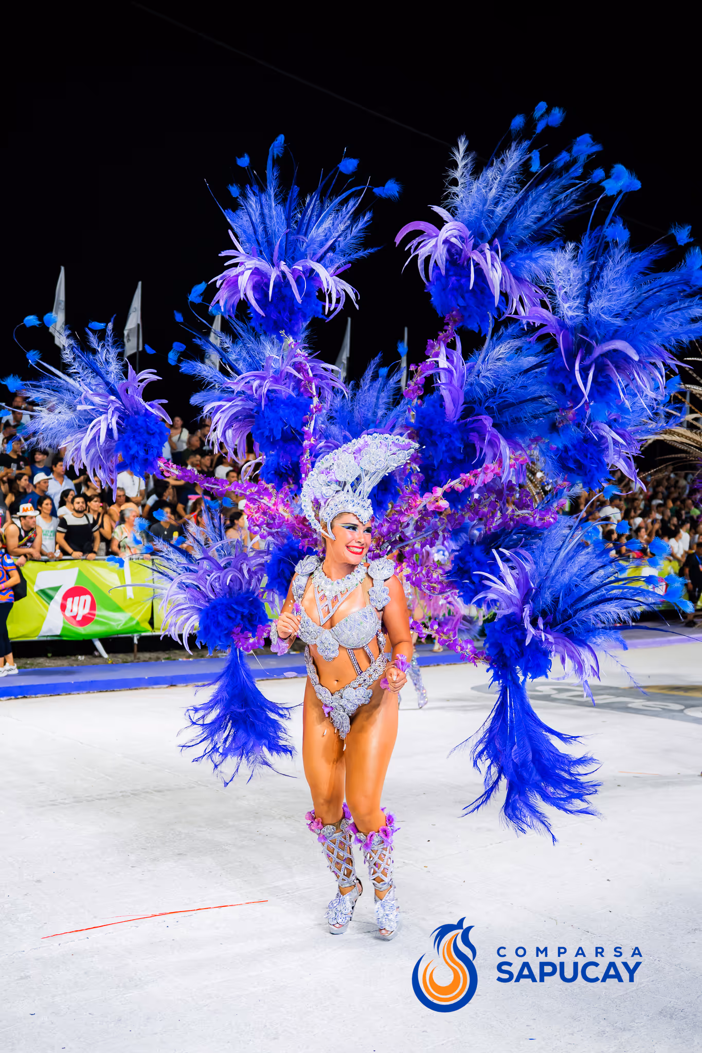 Galería de fotos del corso del Carnaval 2025