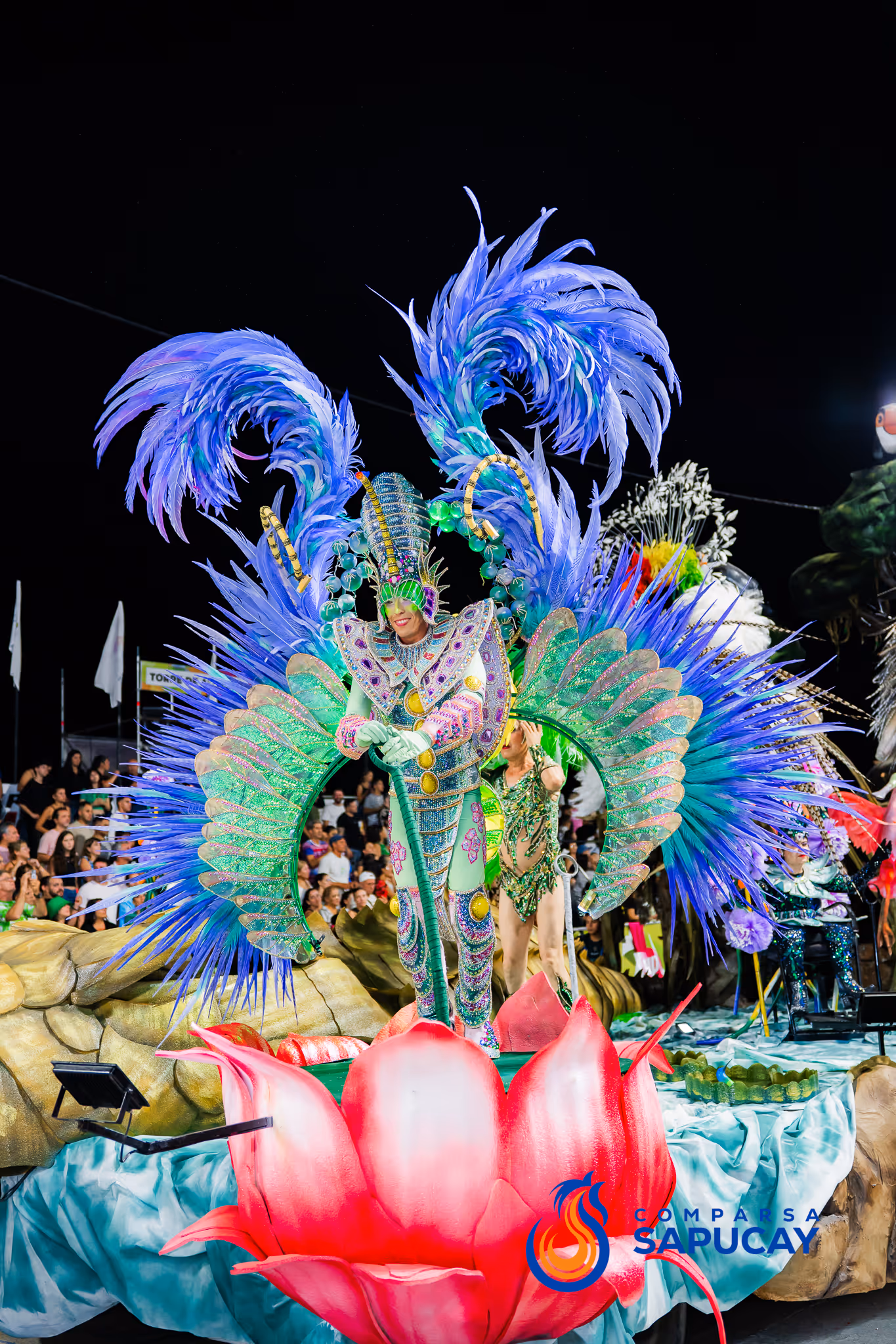 Galería de fotos del corso del Carnaval 2025