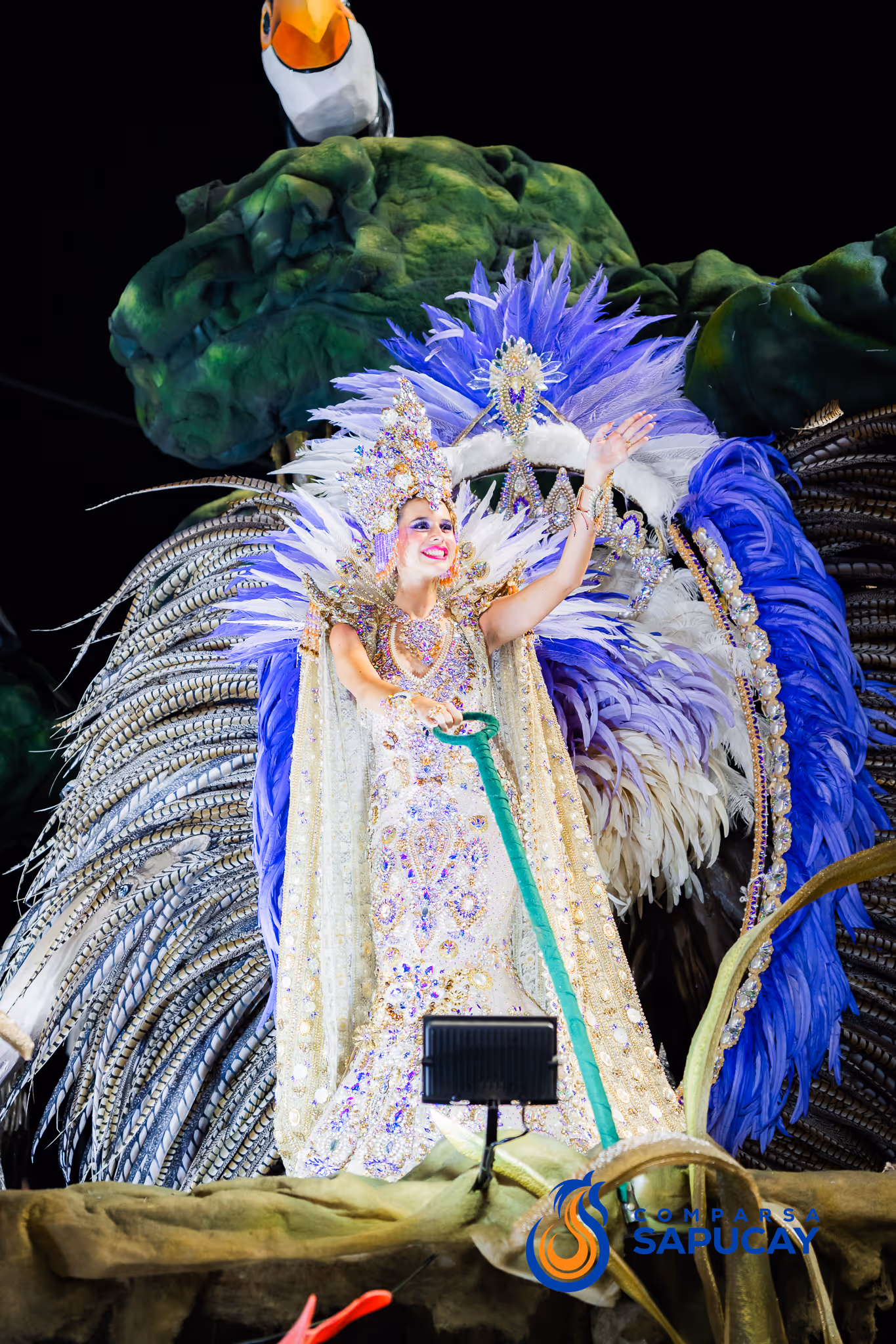 Galería de fotos del corso del Carnaval 2025