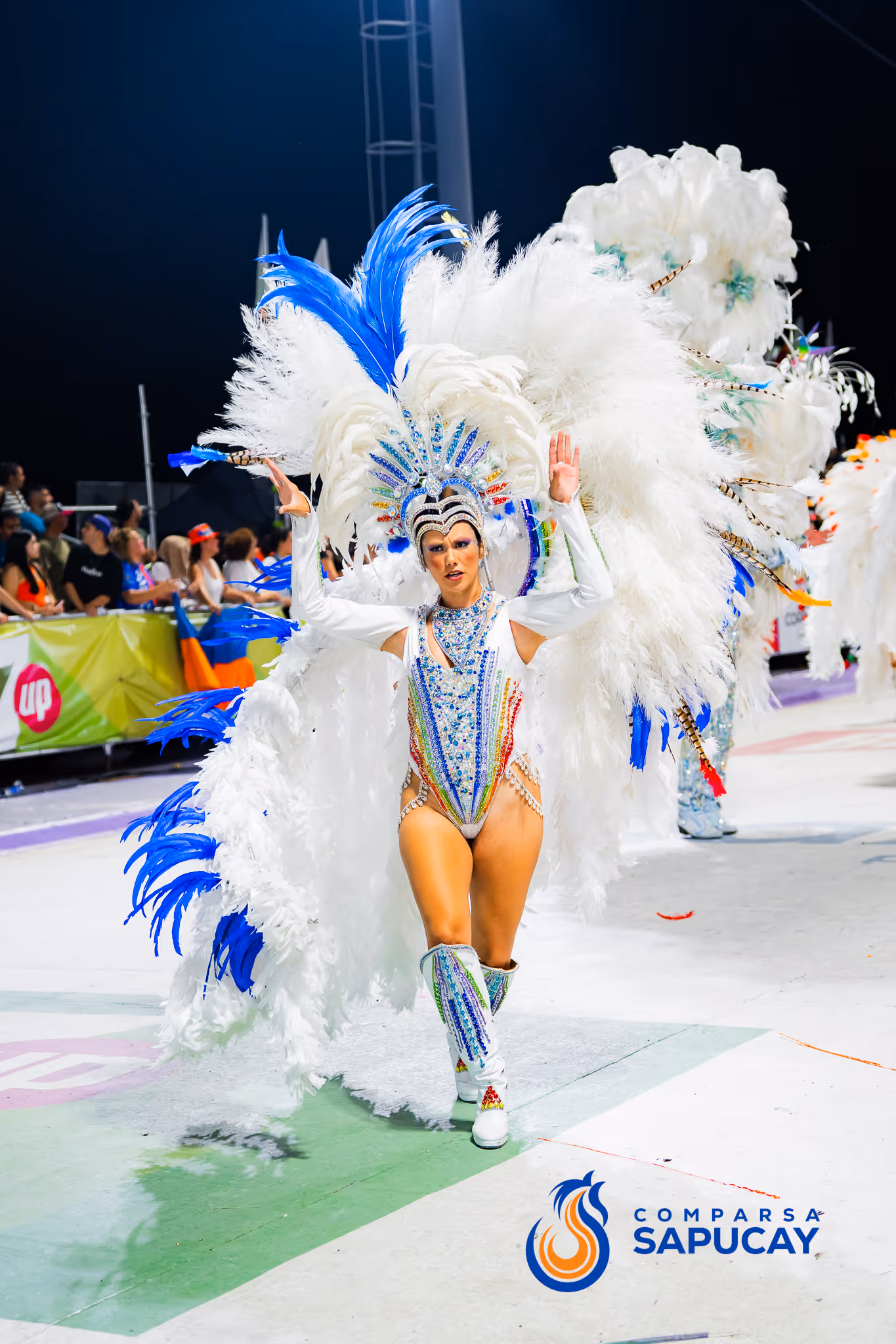 Galería de fotos del corso del Carnaval 2025