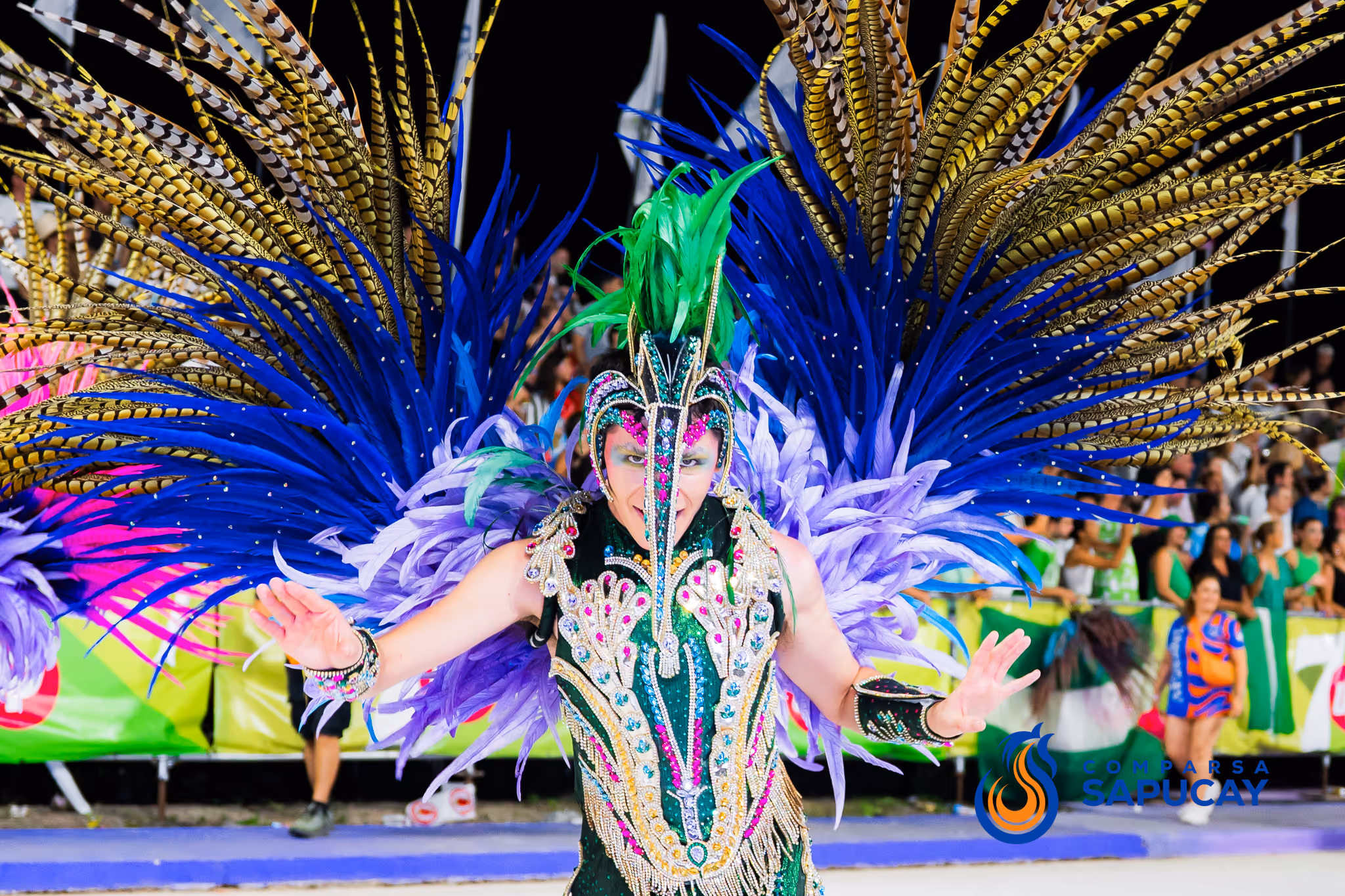Galería de fotos del corso del Carnaval 2025
