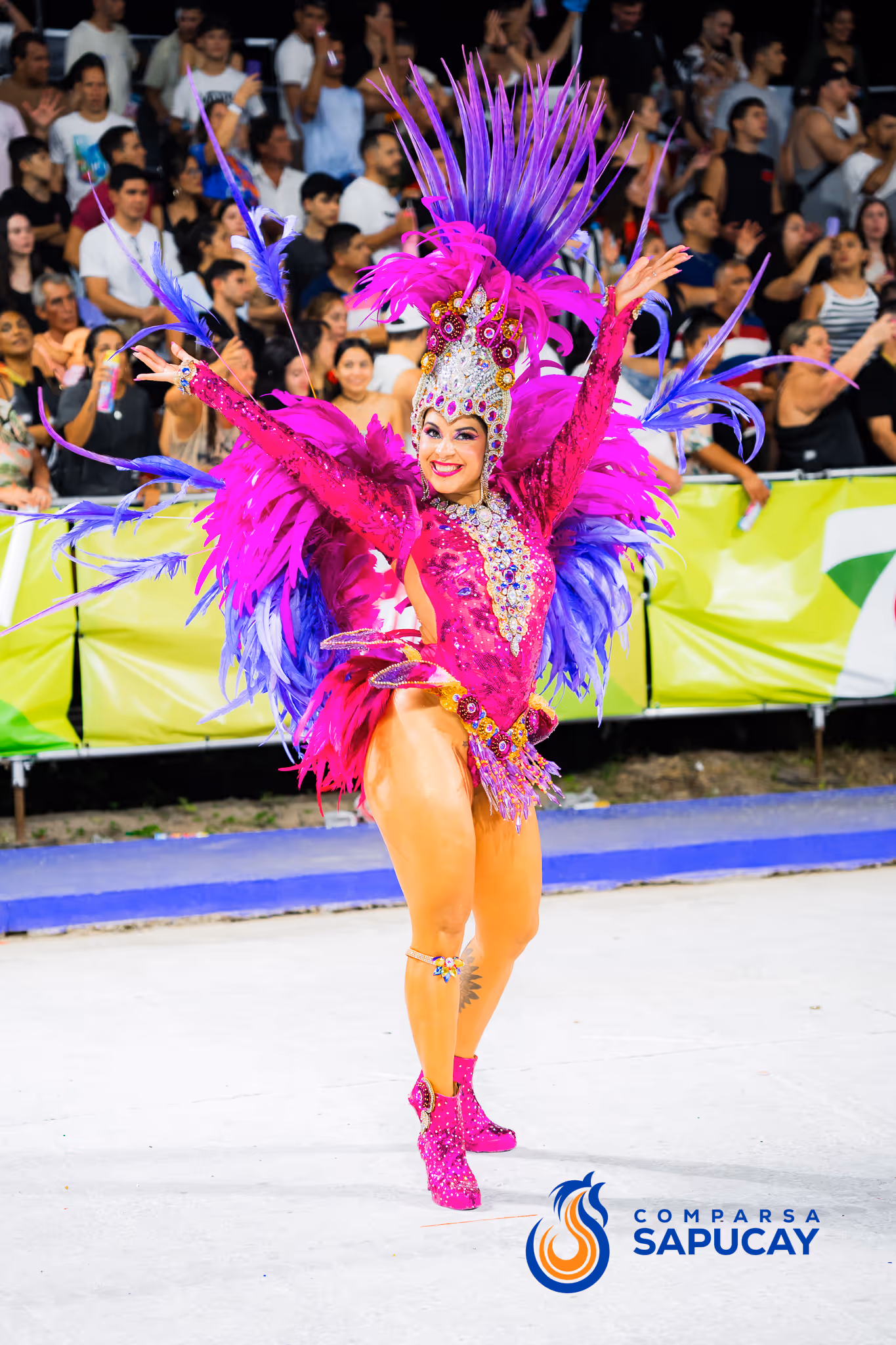 Galería de fotos del corso del Carnaval 2025
