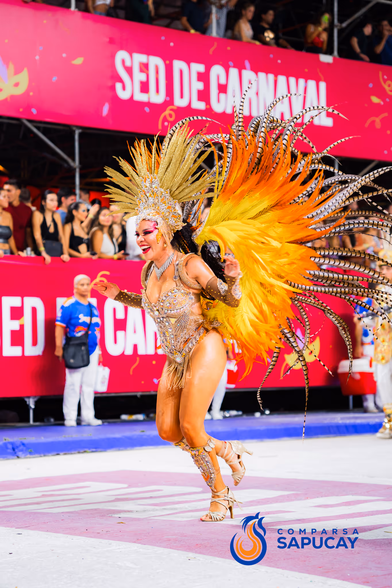 Galería de fotos del corso del Carnaval 2025