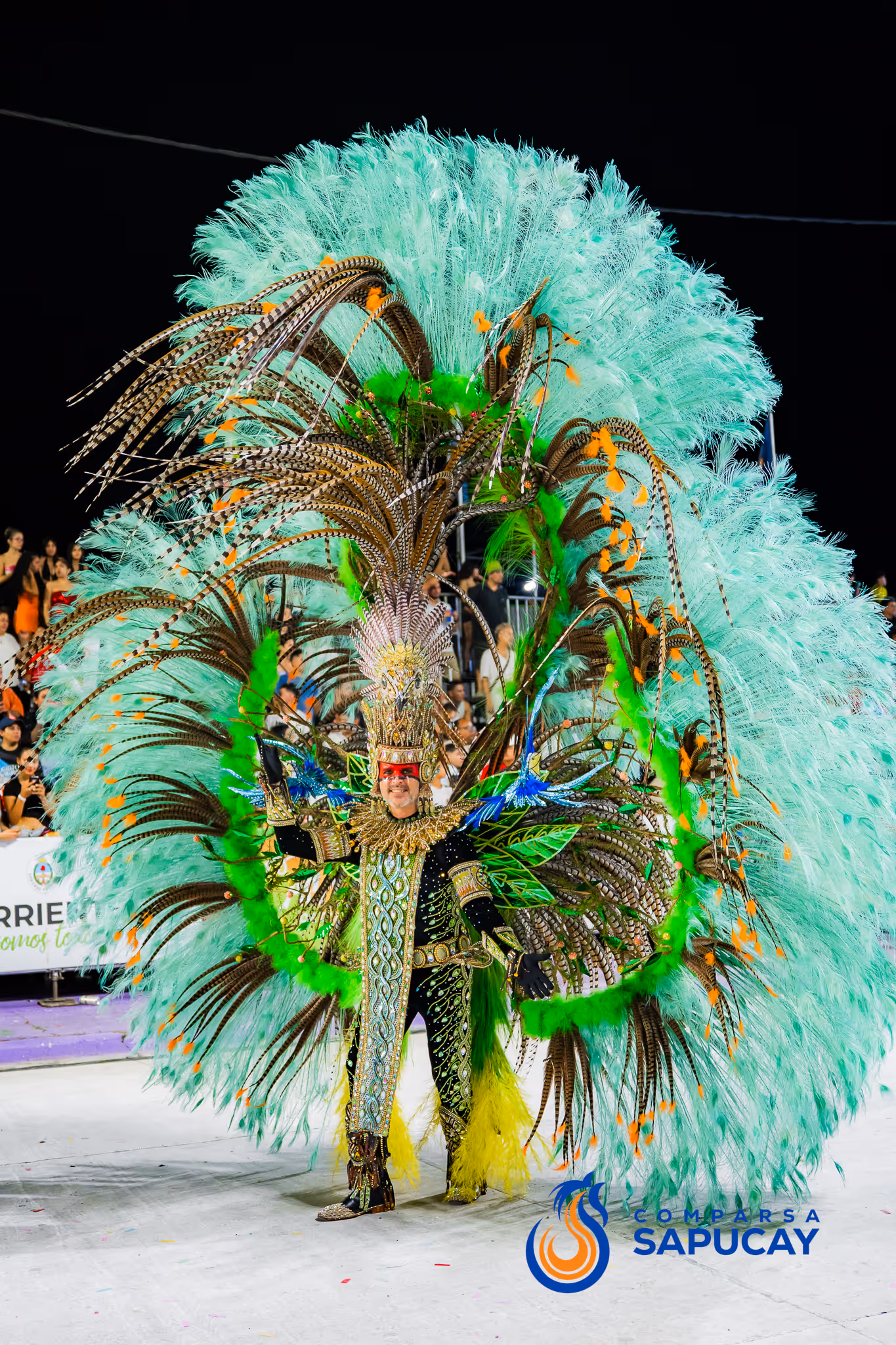 Galería de fotos del corso del Carnaval 2025