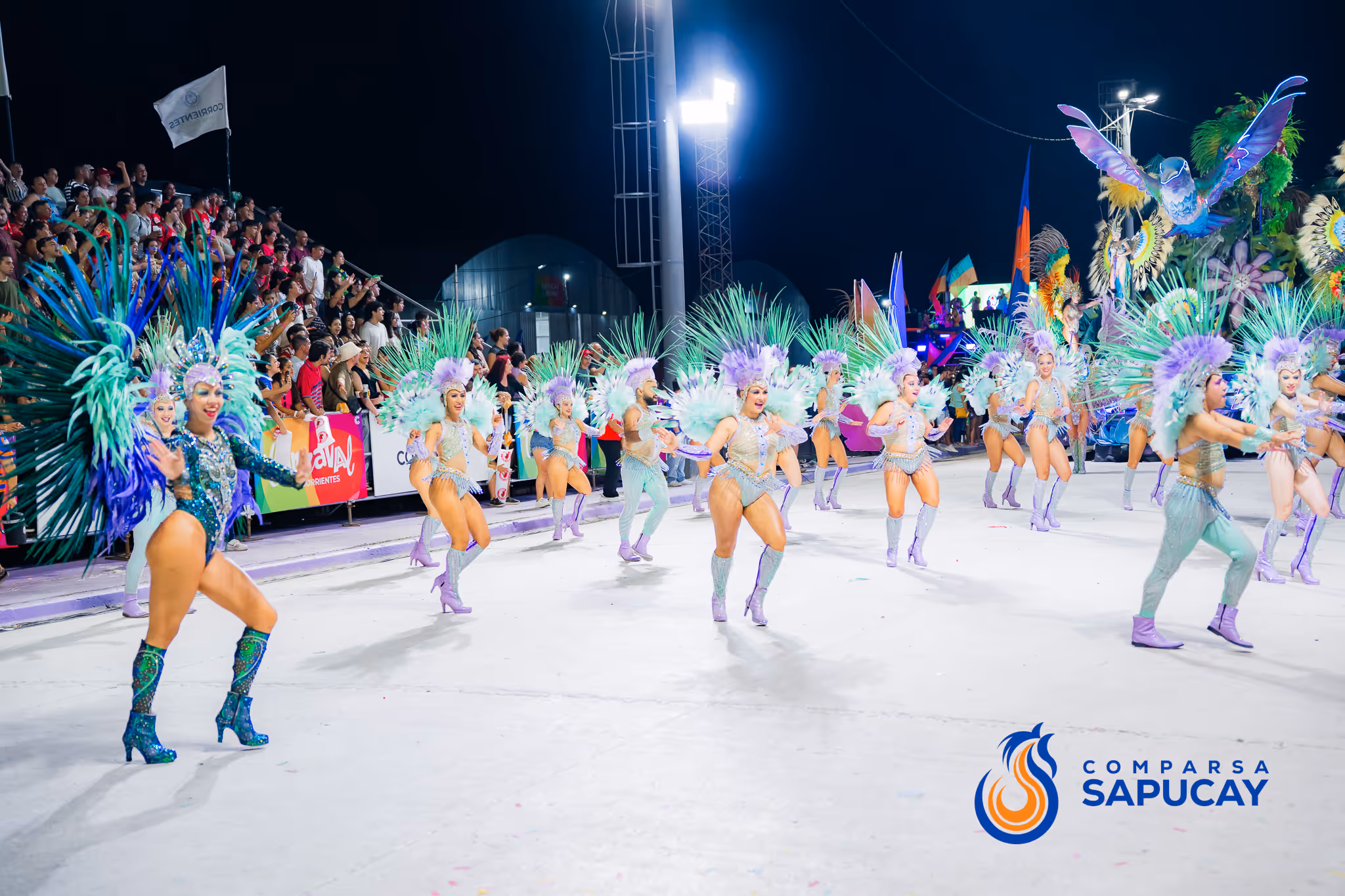 Galería de fotos del corso del Carnaval 2025