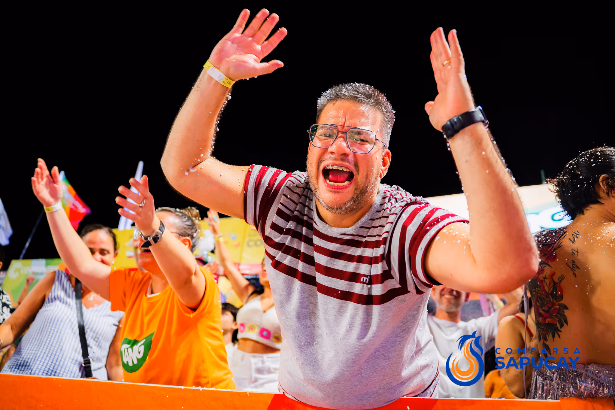 Galería de fotos del corso del Carnaval 2025