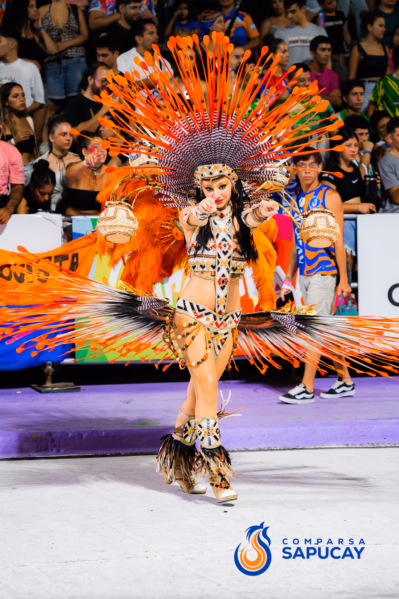 Galería de fotos del corso del Carnaval 2025
